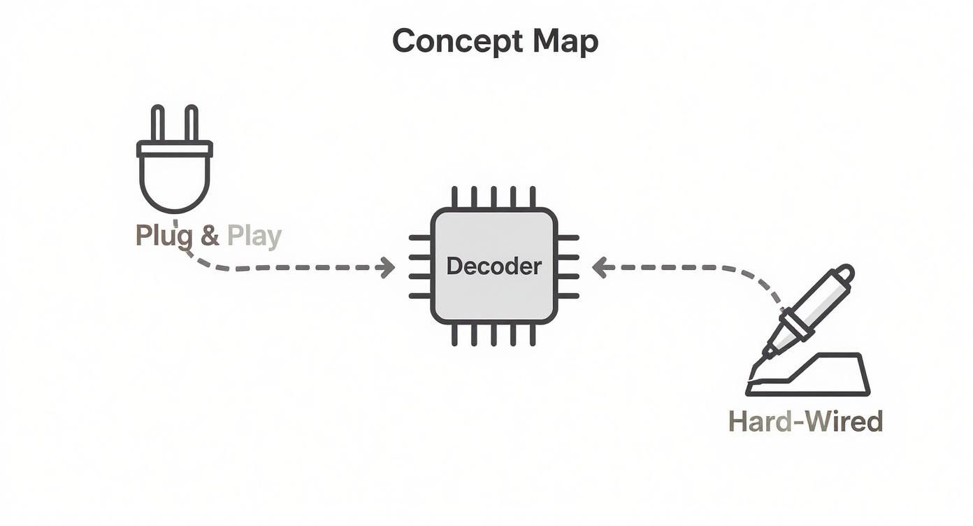 Concept map showing a decoder with 'Plug & Play' and 'Hard-Wired' input methods.