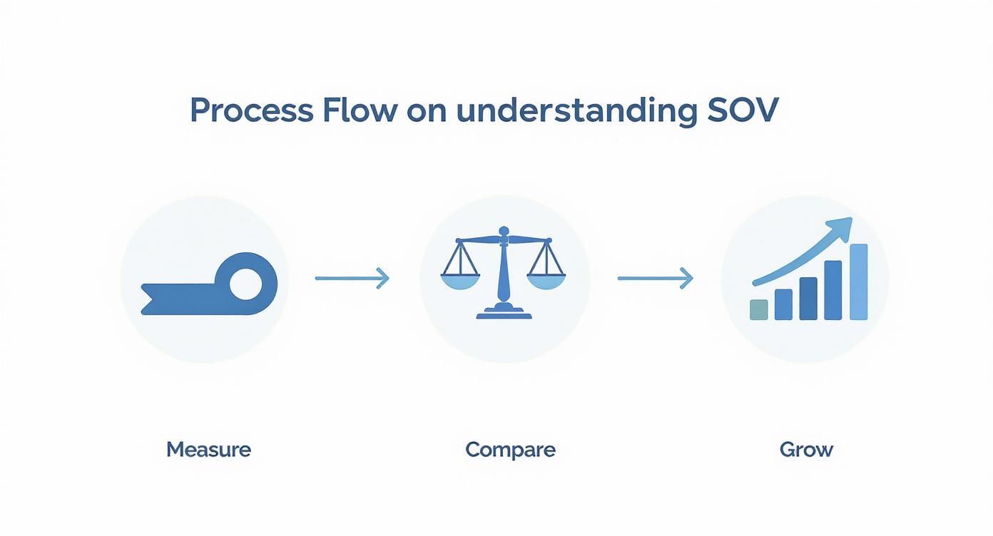 Infographic about calculating share of voice