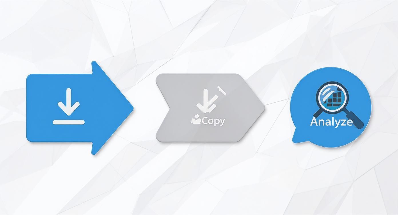 Flowchart showing data processing steps: download, copy, and analyze with corresponding icons.