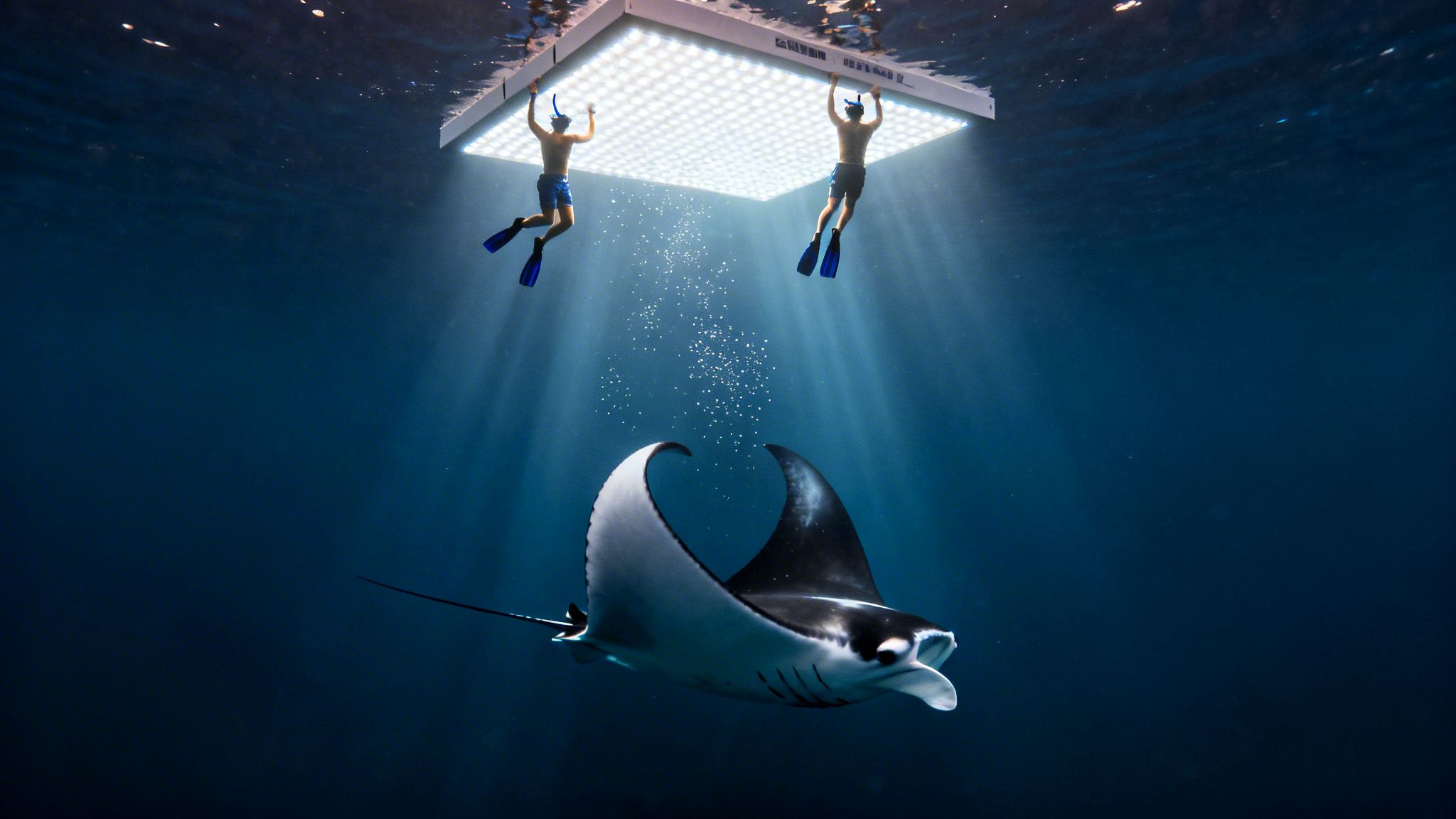 Two snorkelers hold an underwater light panel, illuminating a majestic manta ray below in deep blue water.