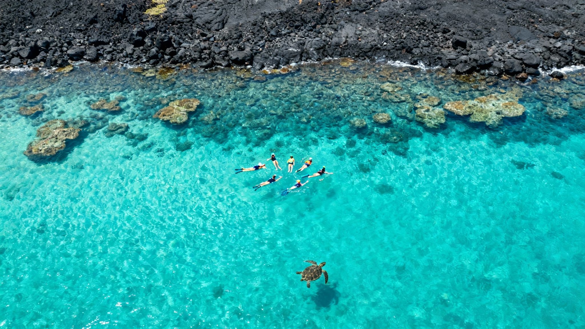 A snorkeler swimming with a sea turtle in the clear blue waters of the Big Island, Hawaii