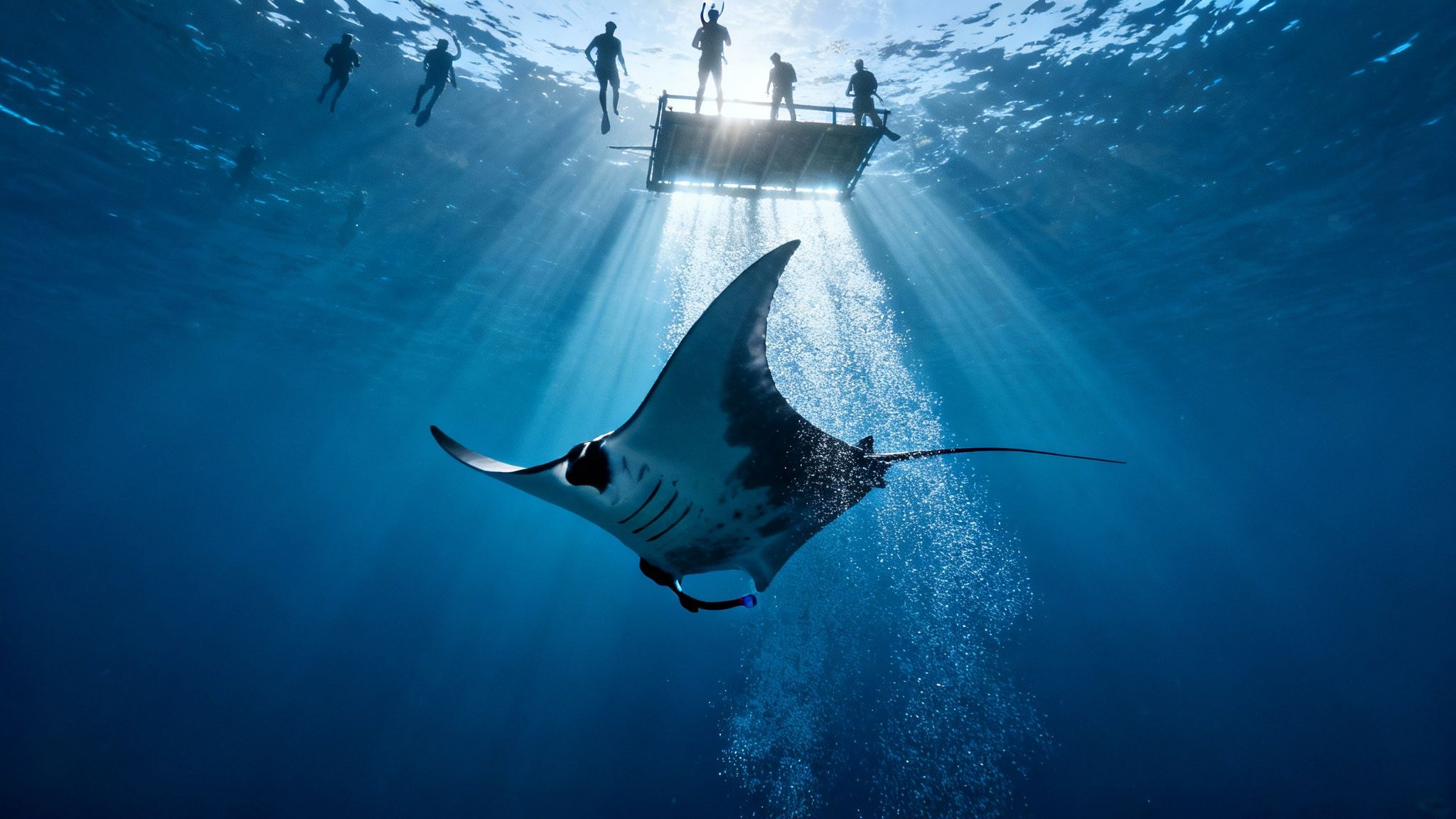 A majestic manta ray swims underwater, surrounded by sunlight rays and bubbles, while people observe from the surface.