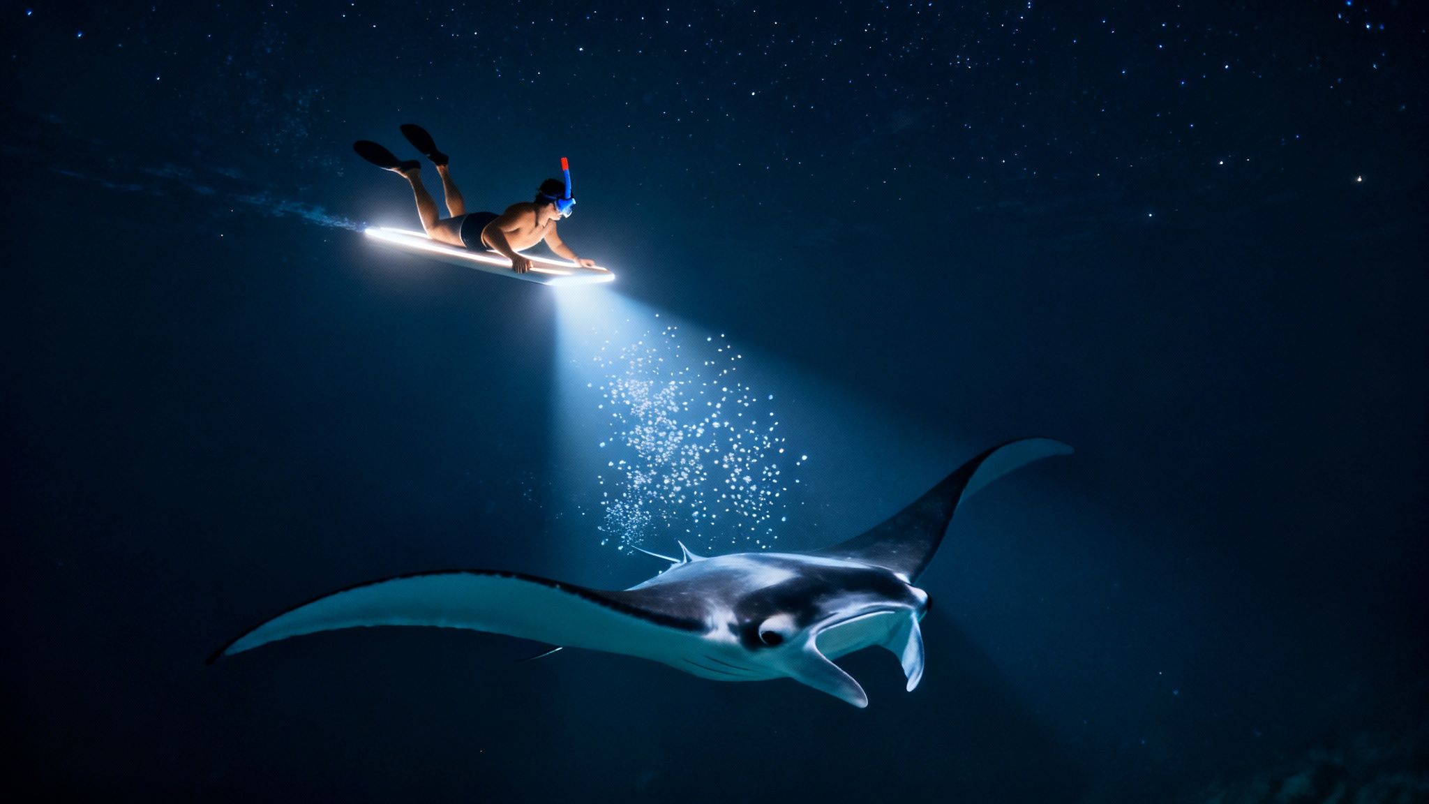 A large manta ray glides gracefully near the ocean's surface at night, illuminated by lights from above.