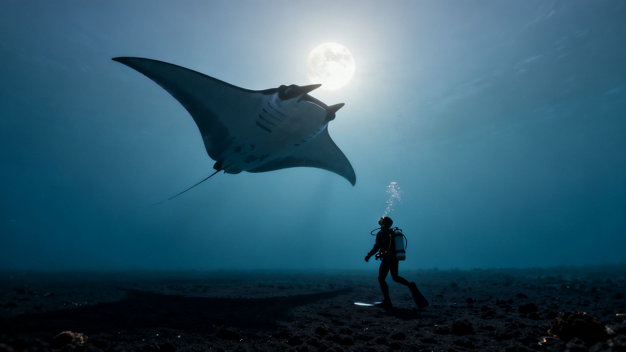 A diver looks up at a majestic manta ray swimming above under a bright sun.