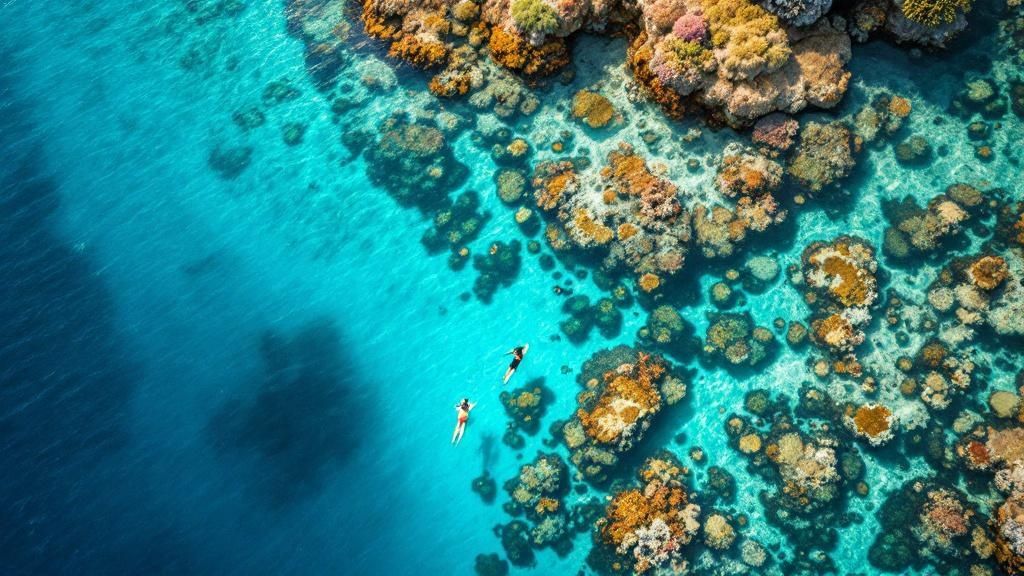 Preparing for your Captain Cook snorkel tour is crucial for a great experience.