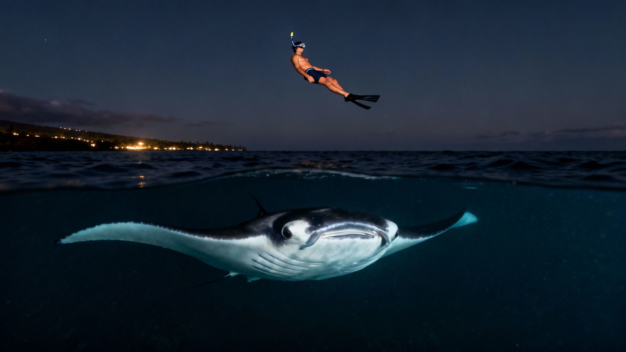 A large manta ray glides gracefully through dark water, illuminated from below, with snorkelers visible on the surface.