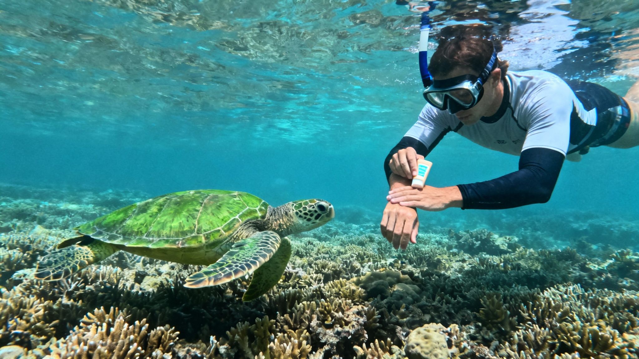 Underwater scene of a snorkeler applying sunscreen while a green sea turtle swims over coral.