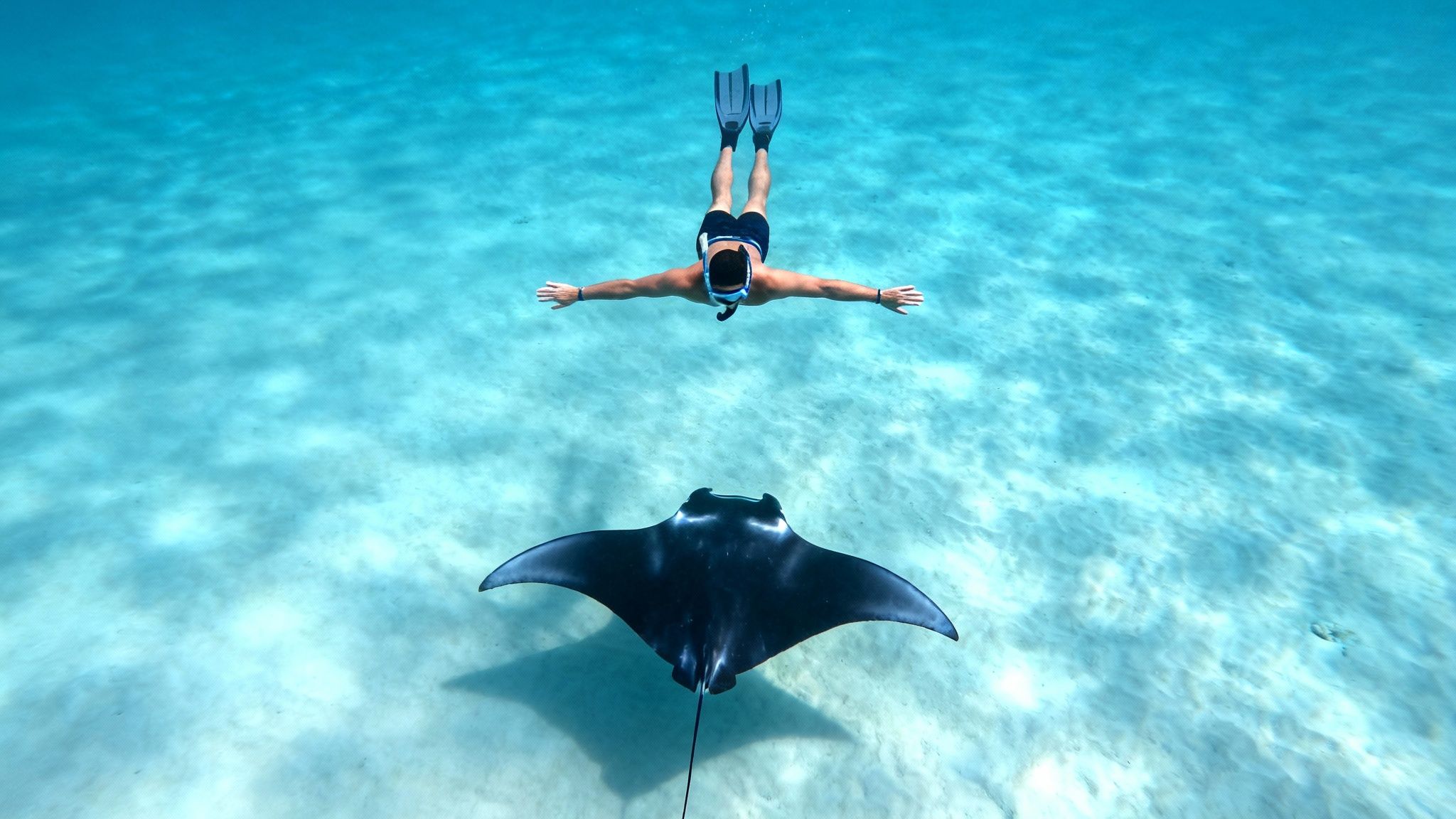 A snorkeler floats above a majestic black manta ray in clear turquoise ocean water.