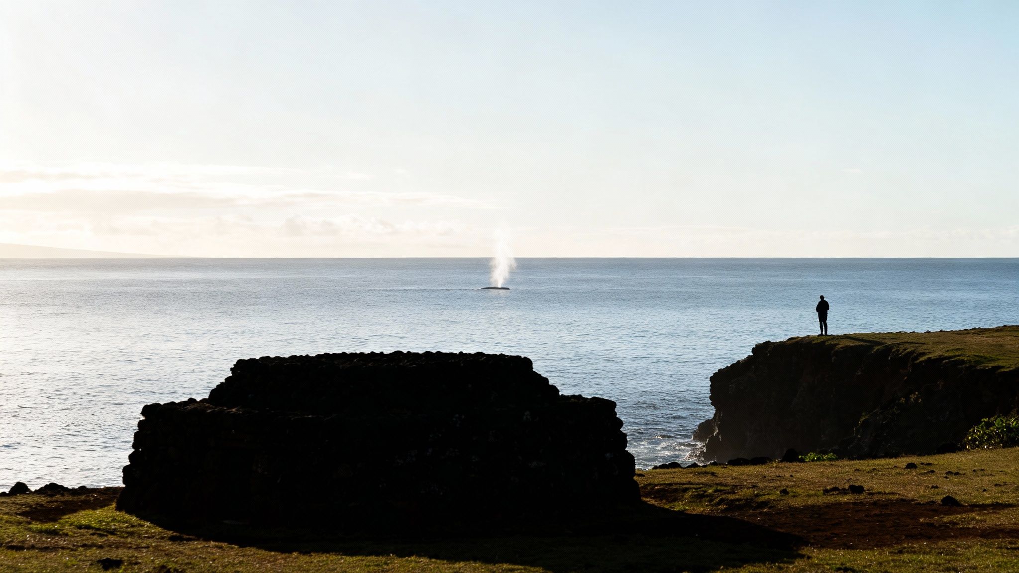 A silhouette of a person on a cliff watching a whale spouting water in the vast ocean.