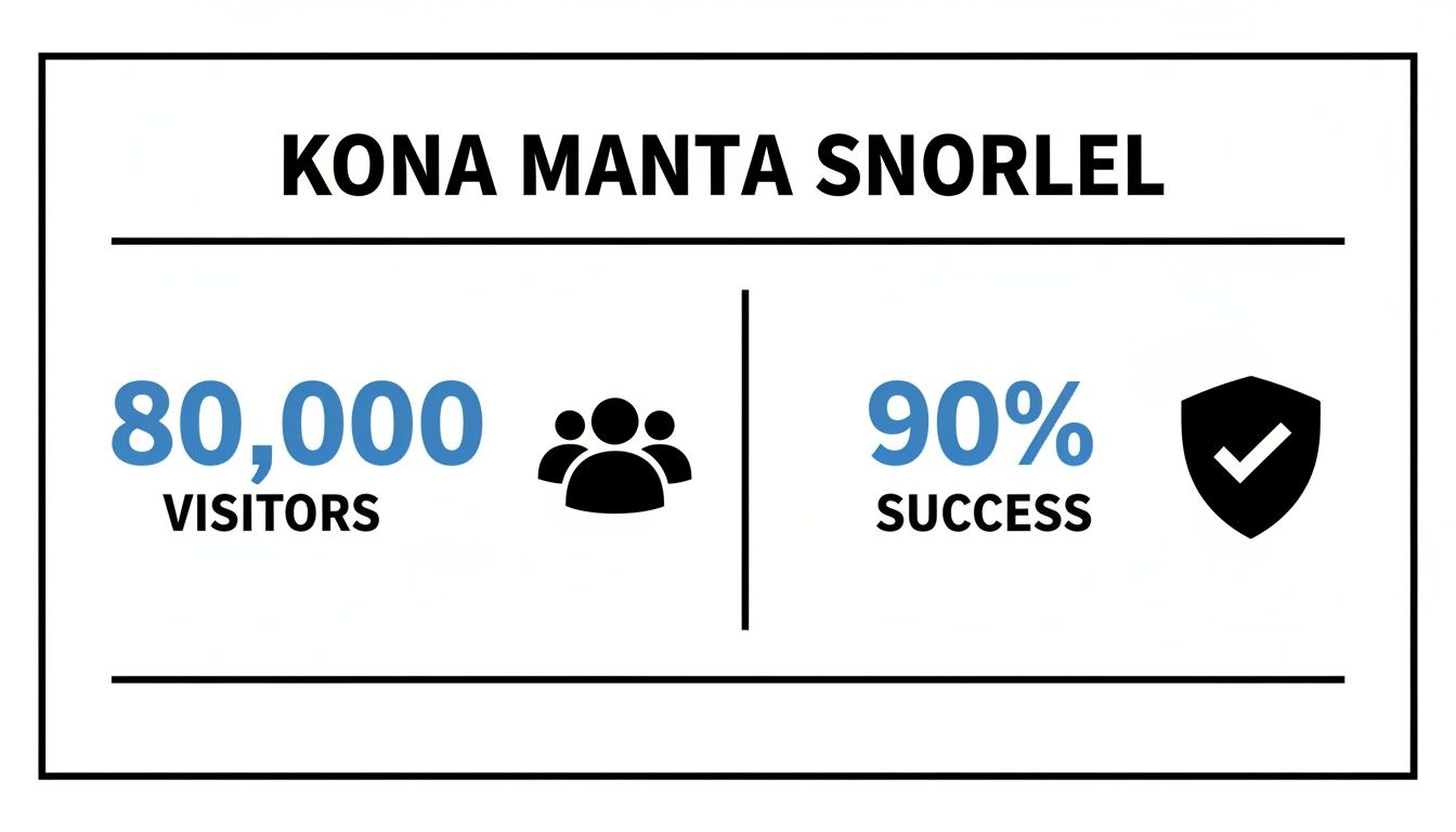 Infographic showing Kona Manta Snorkel with 80,000 visitors and a 90% success rate.
