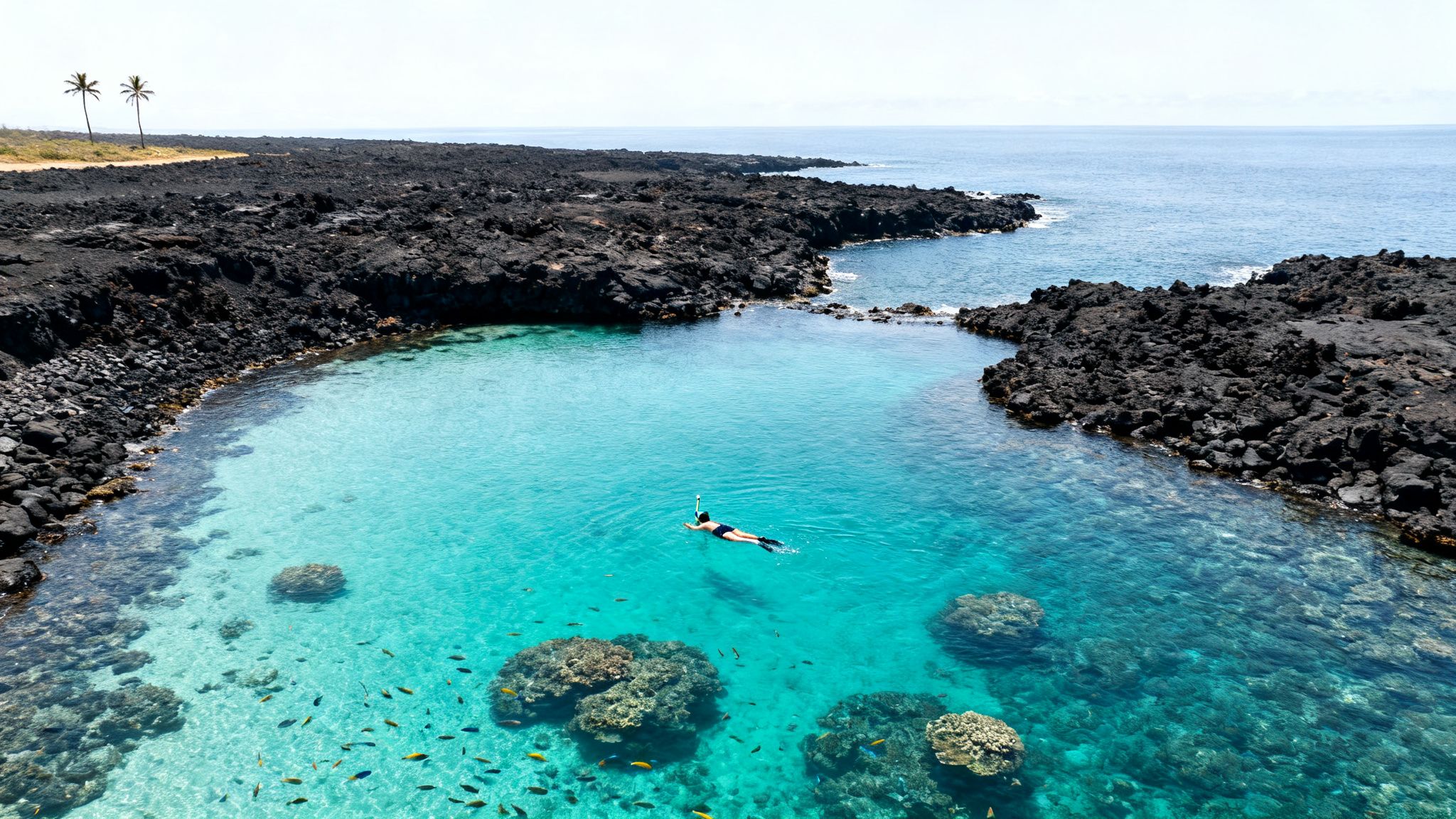 A person snorkeling in a vibrant turquoise lagoon surrounded by black volcanic rock formations, with fish and coral.
