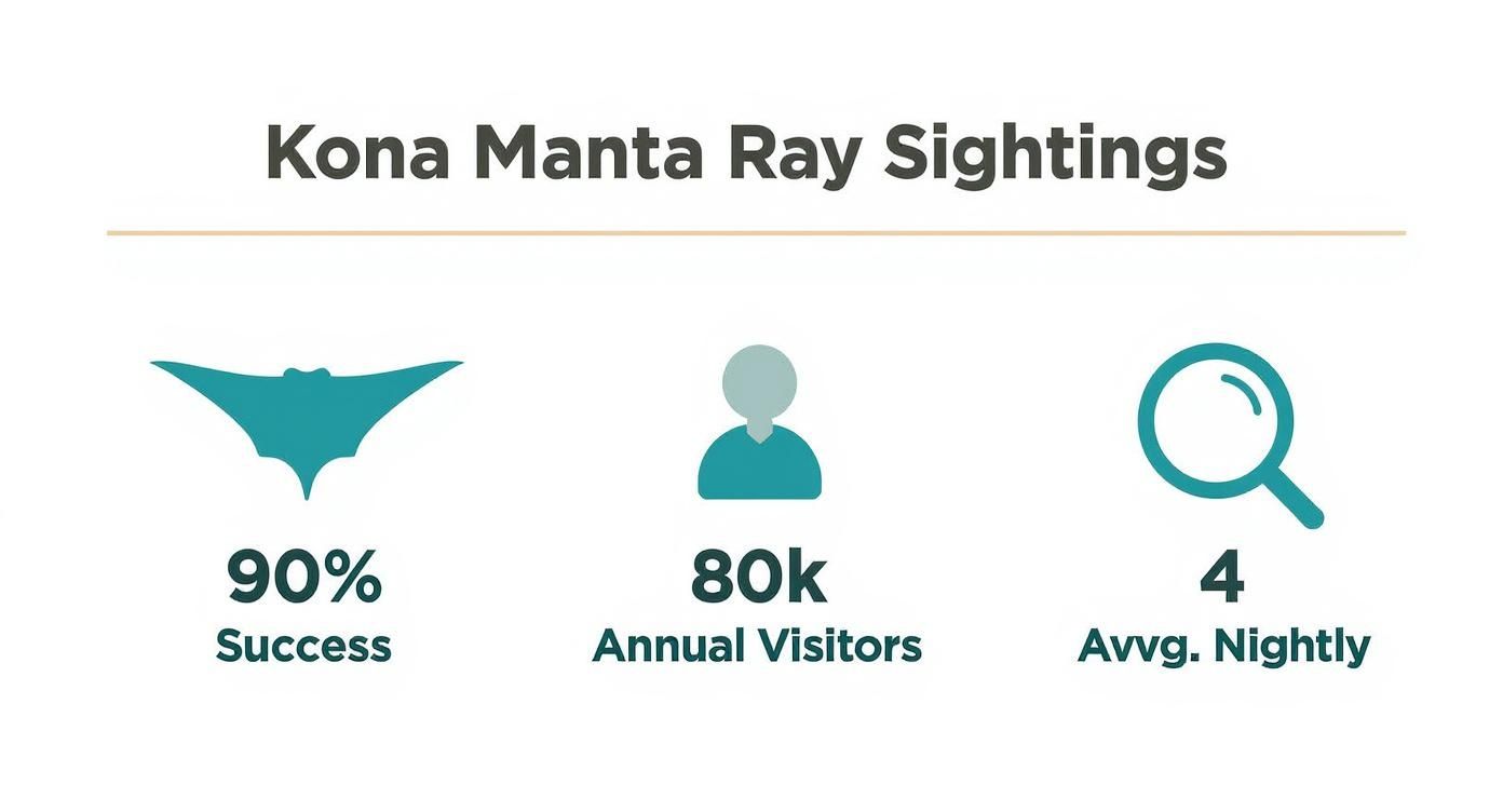 Infographic about manta ray snorkel kona