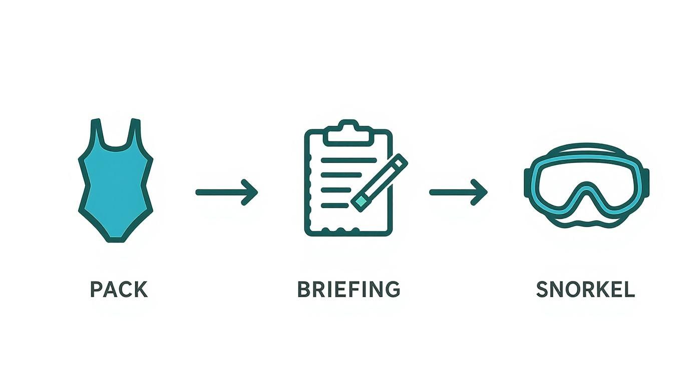 Infographic about manta ray snorkel kona