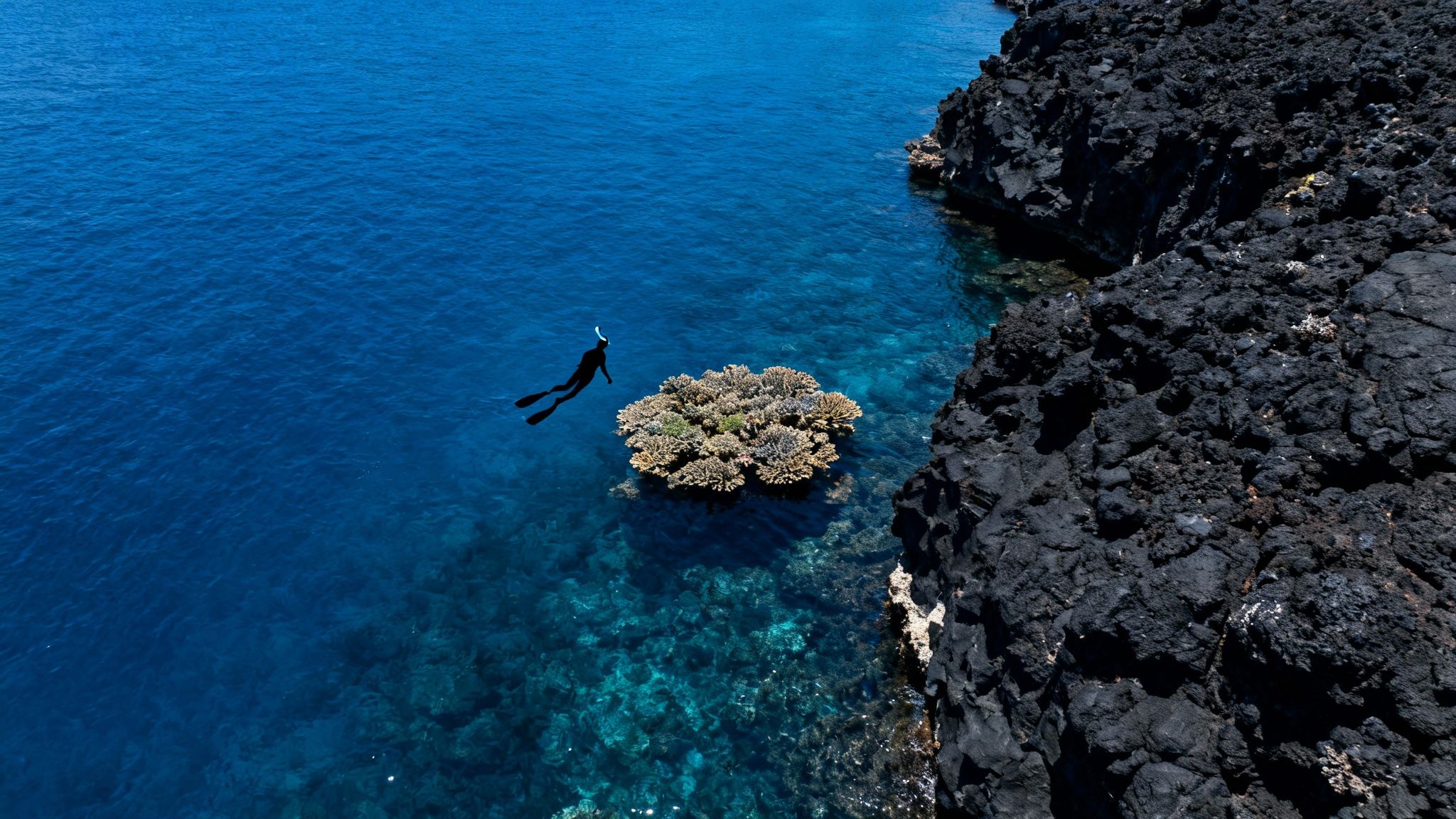 Aerial view of a snorkeler swimming near a vibrant coral reef in clear blue ocean water beside a dark rocky coast.