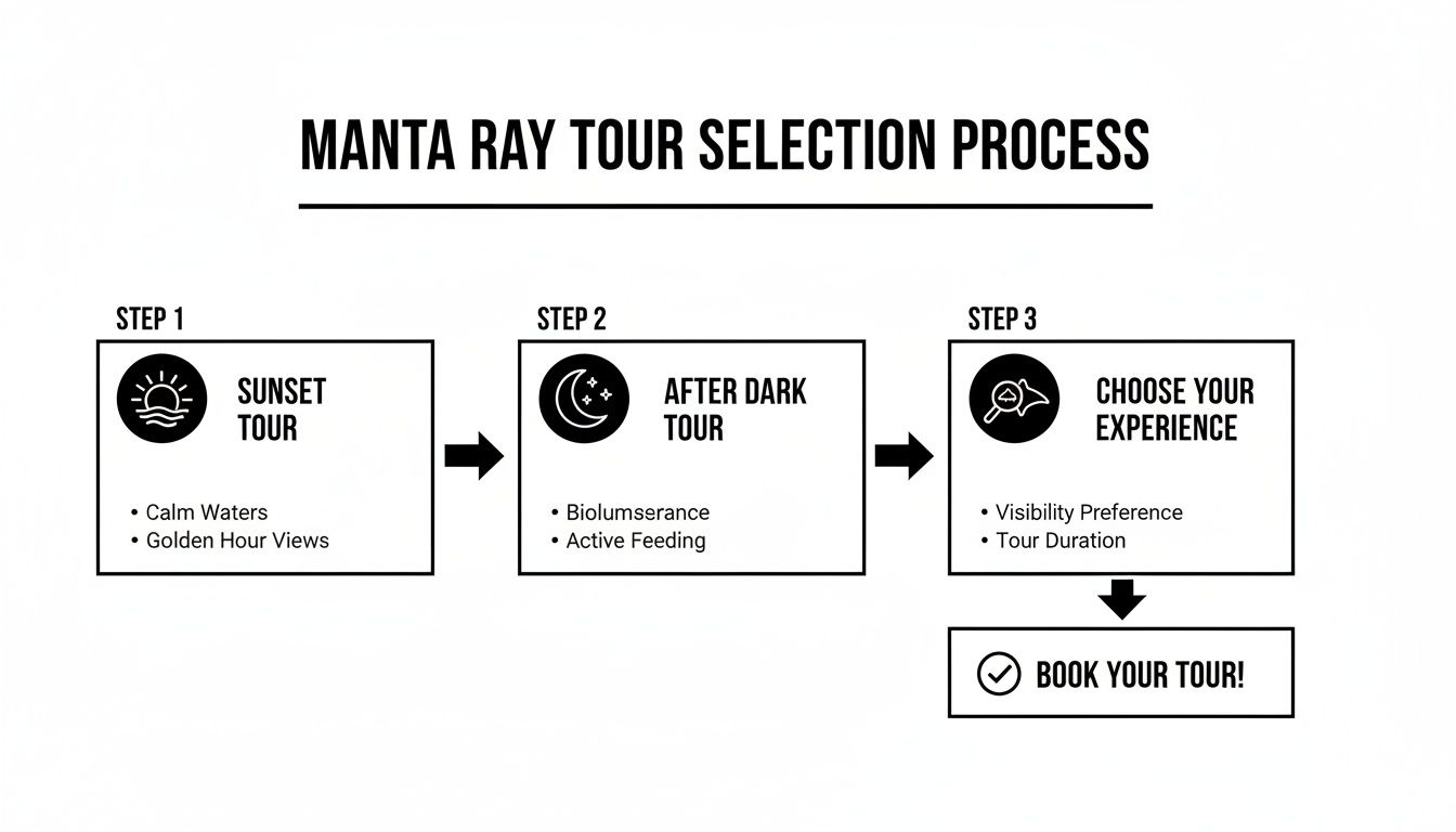 Manta Ray Tour Selection Process flowchart outlining three steps: Sunset, After Dark, and choosing your experience.