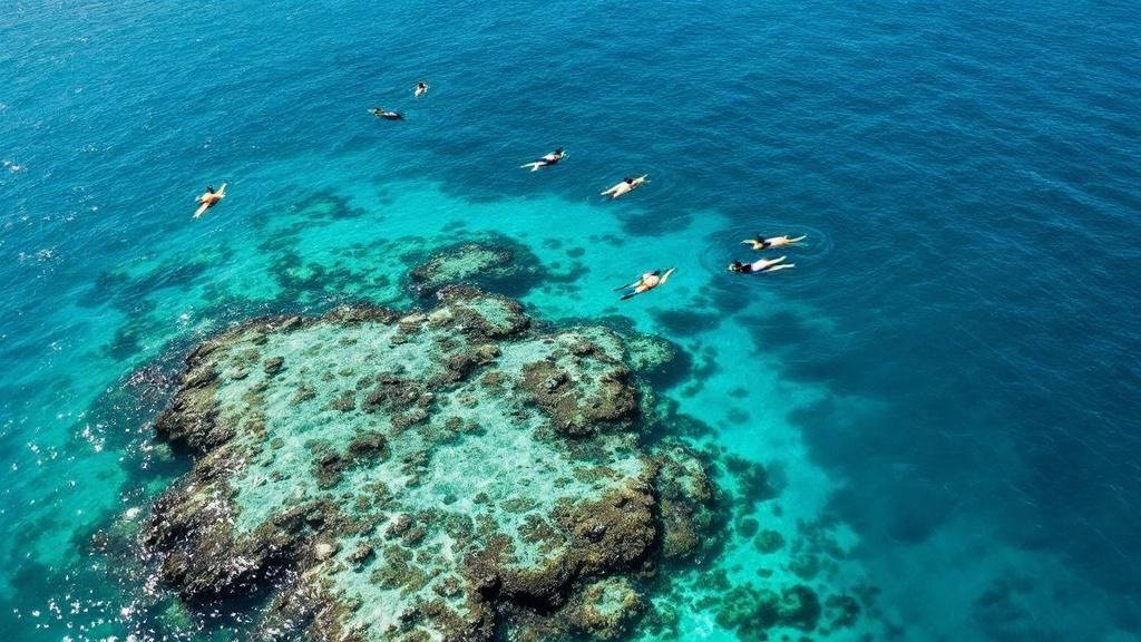 Captain Cook Snorkel Tour