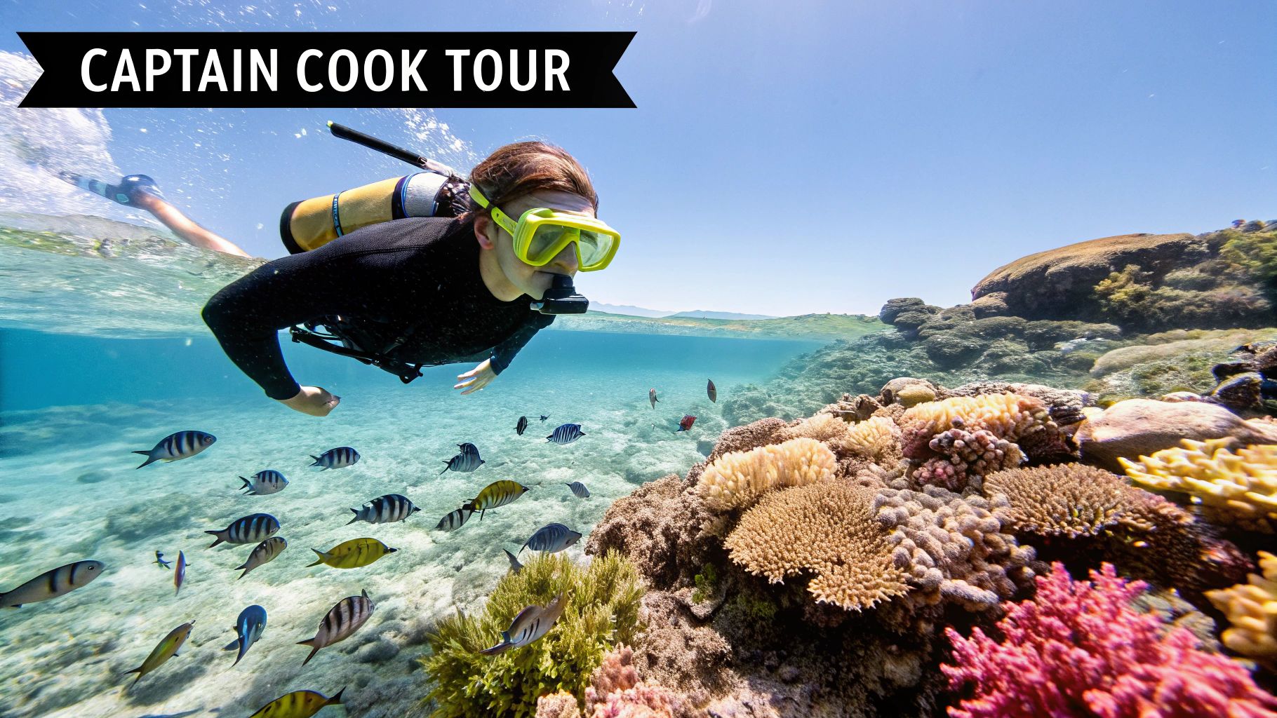Snorkeling in Kealakekua Bay