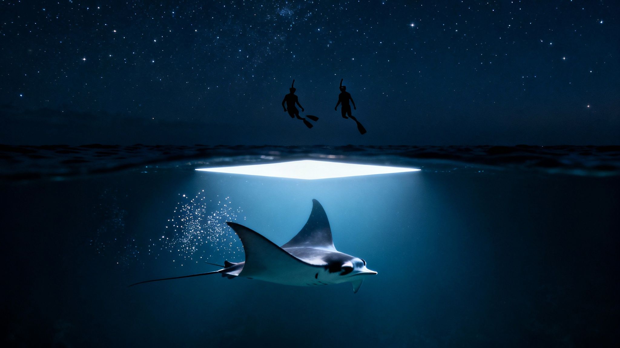 Two snorkelers watch a majestic manta ray illuminated by an underwater light under a starry night sky.