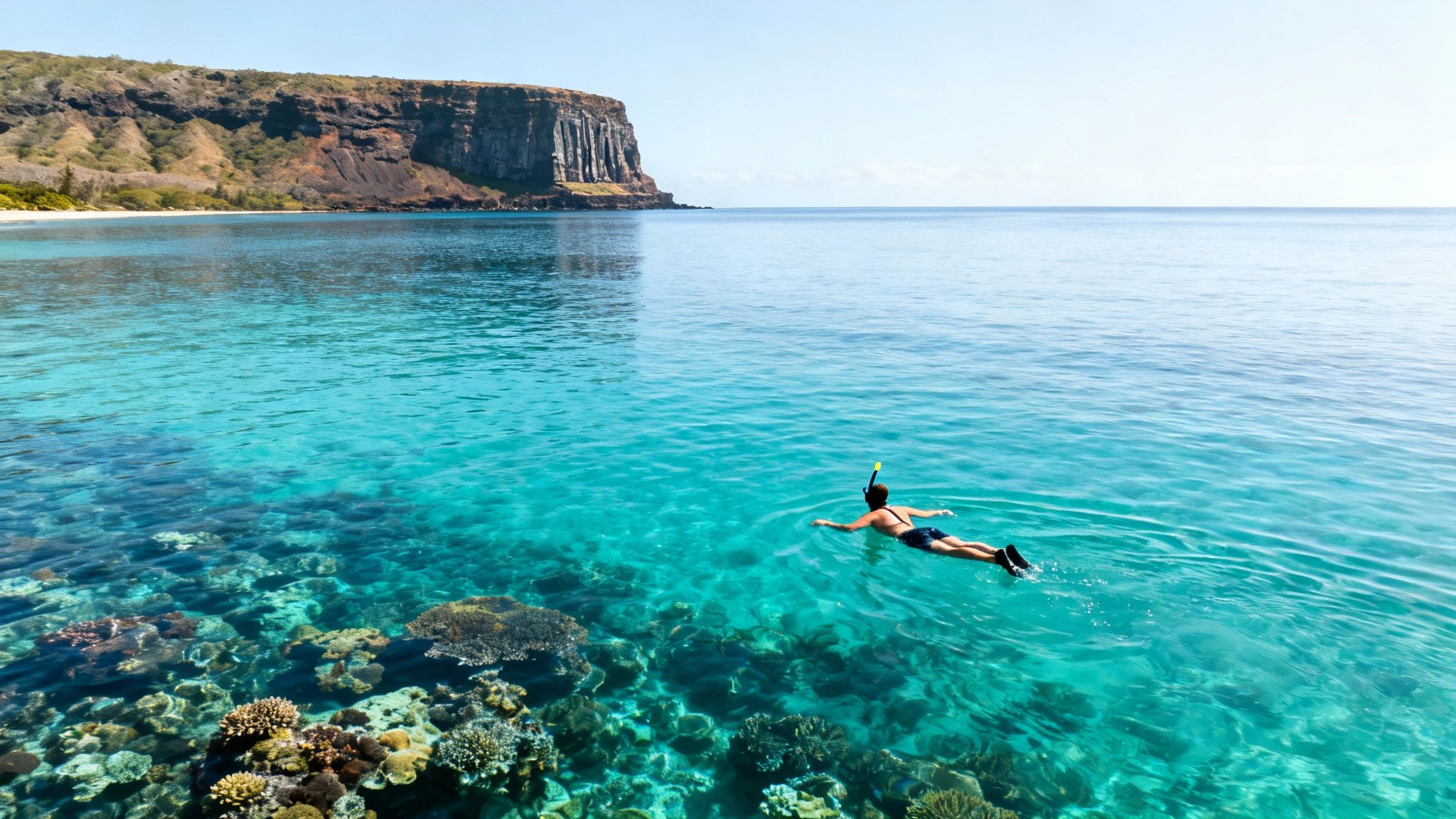 A person snorkels in crystal clear turquoise water above a vibrant coral reef near a majestic island cliff.