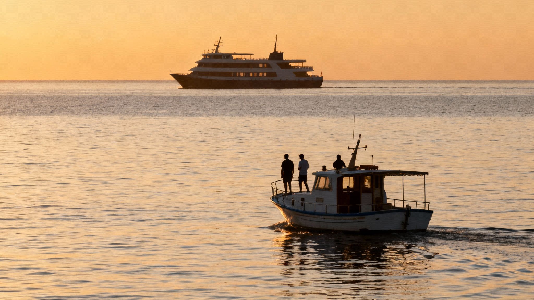 Snorkelers holding onto a light board as manta rays swim below them.