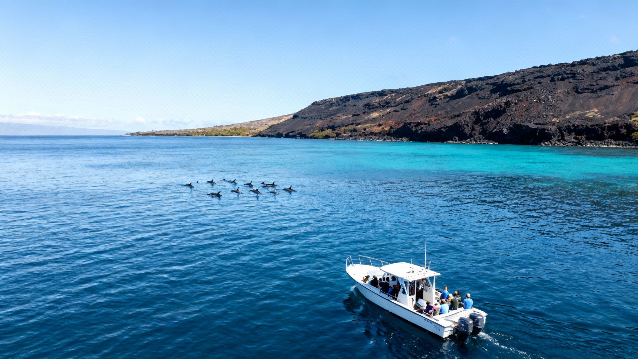 A pod of dolphins swims near a white boat carrying people in clear blue ocean water near a volcanic coastline.