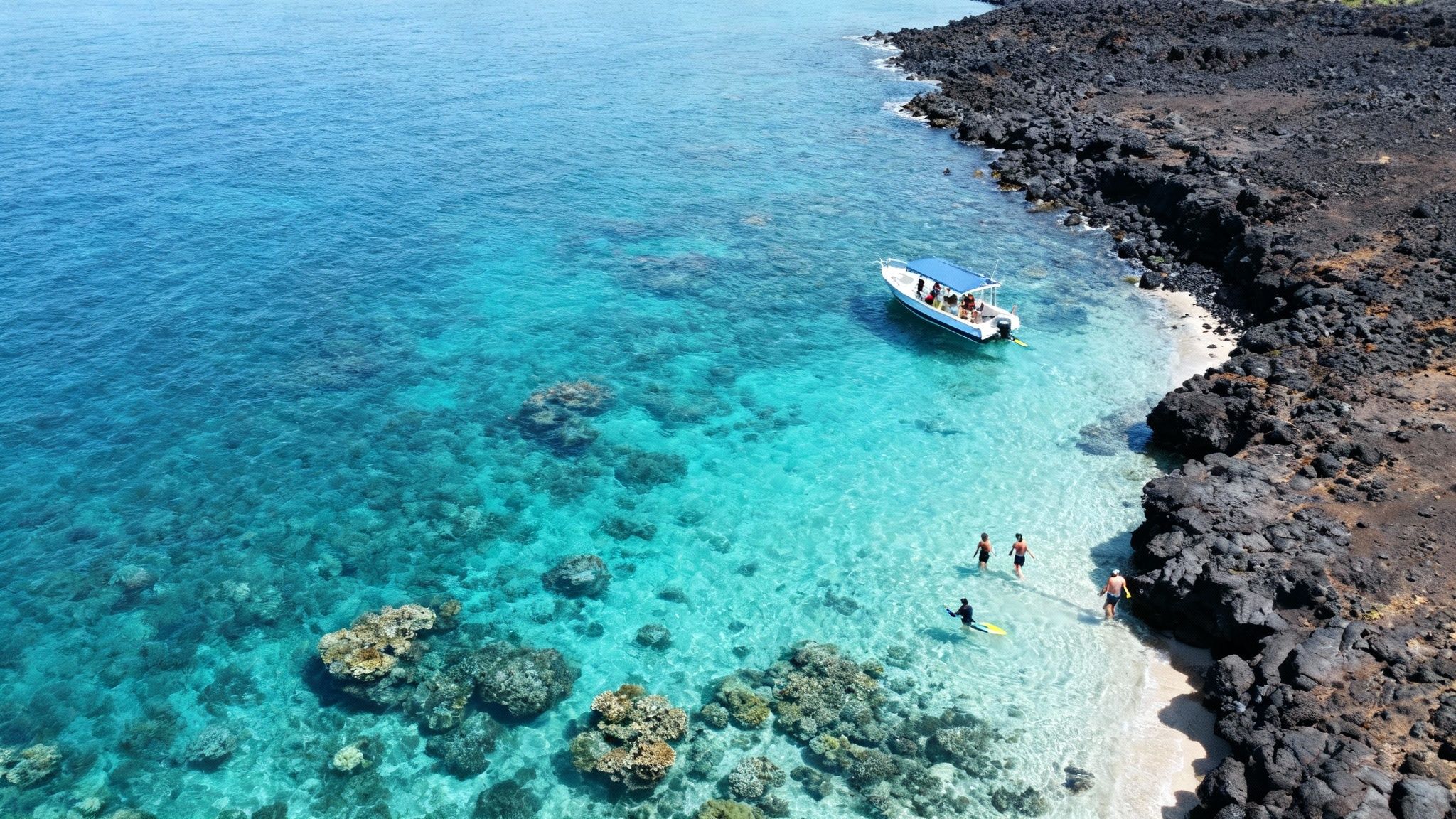 Aerial view of a boat and people snorkeling in clear turquoise water near a black lava coastline.