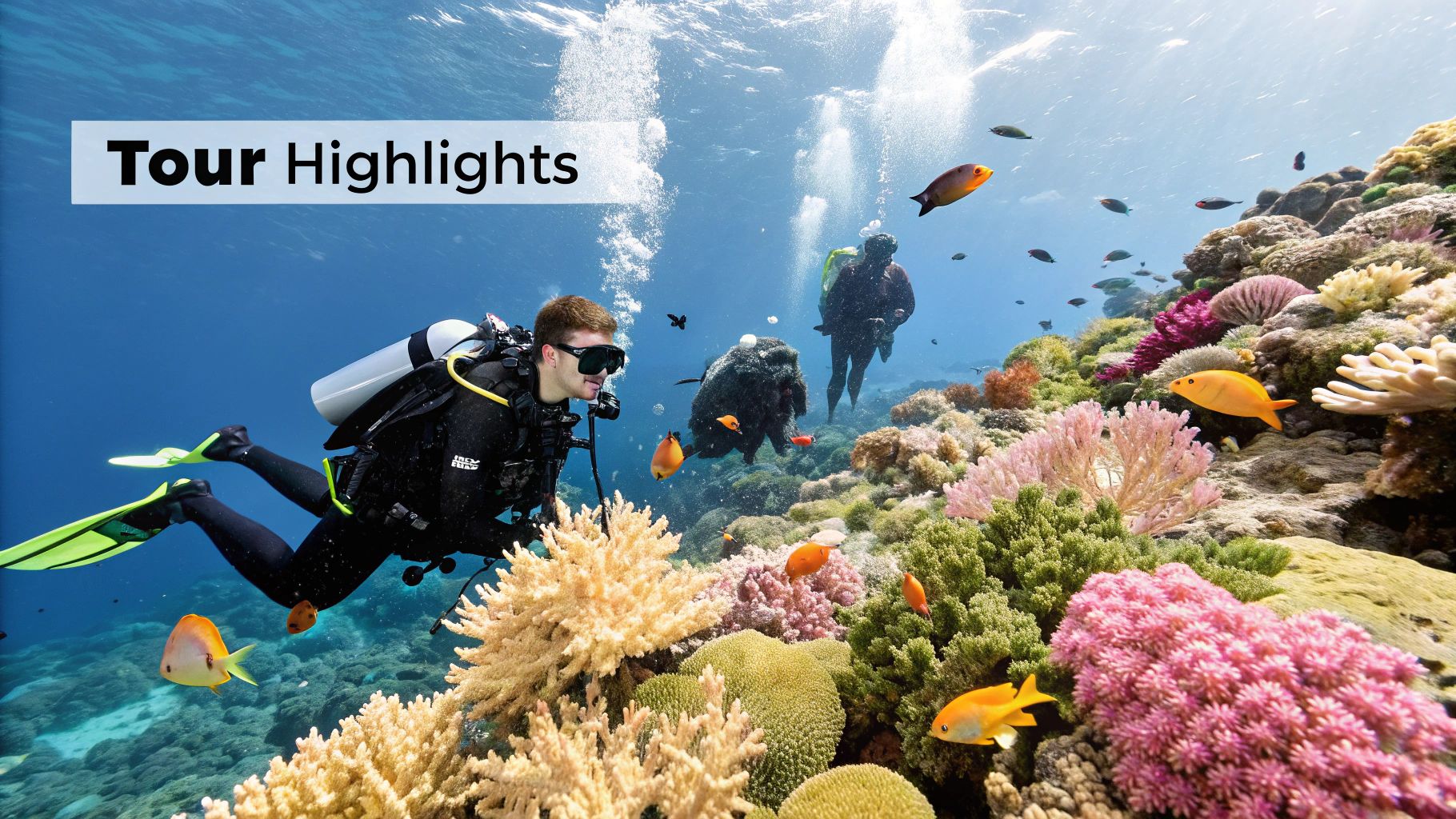 Planning a Captain Cook snorkel tour requires consideration of time of day, season, and vessel type.