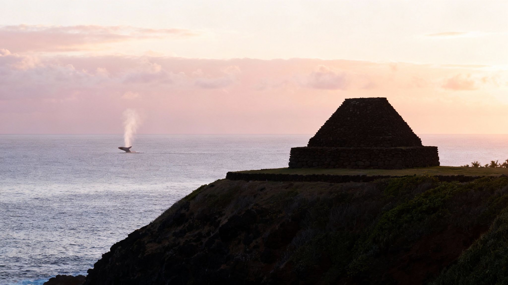 Hawaii Forest & Trail Kohala Coast Whale Watching Adventure