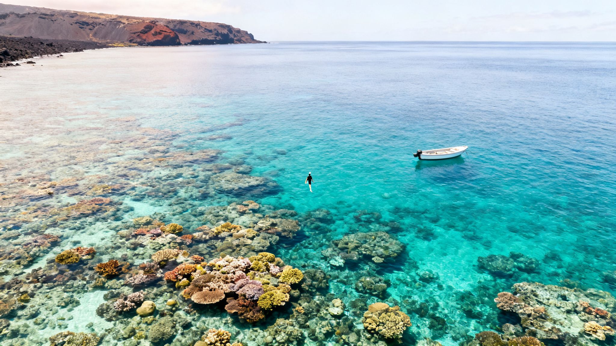 Aerial view of a person snorkeling over a colorful coral reef in clear blue Hawaiian waters with a boat and volcanic coast.