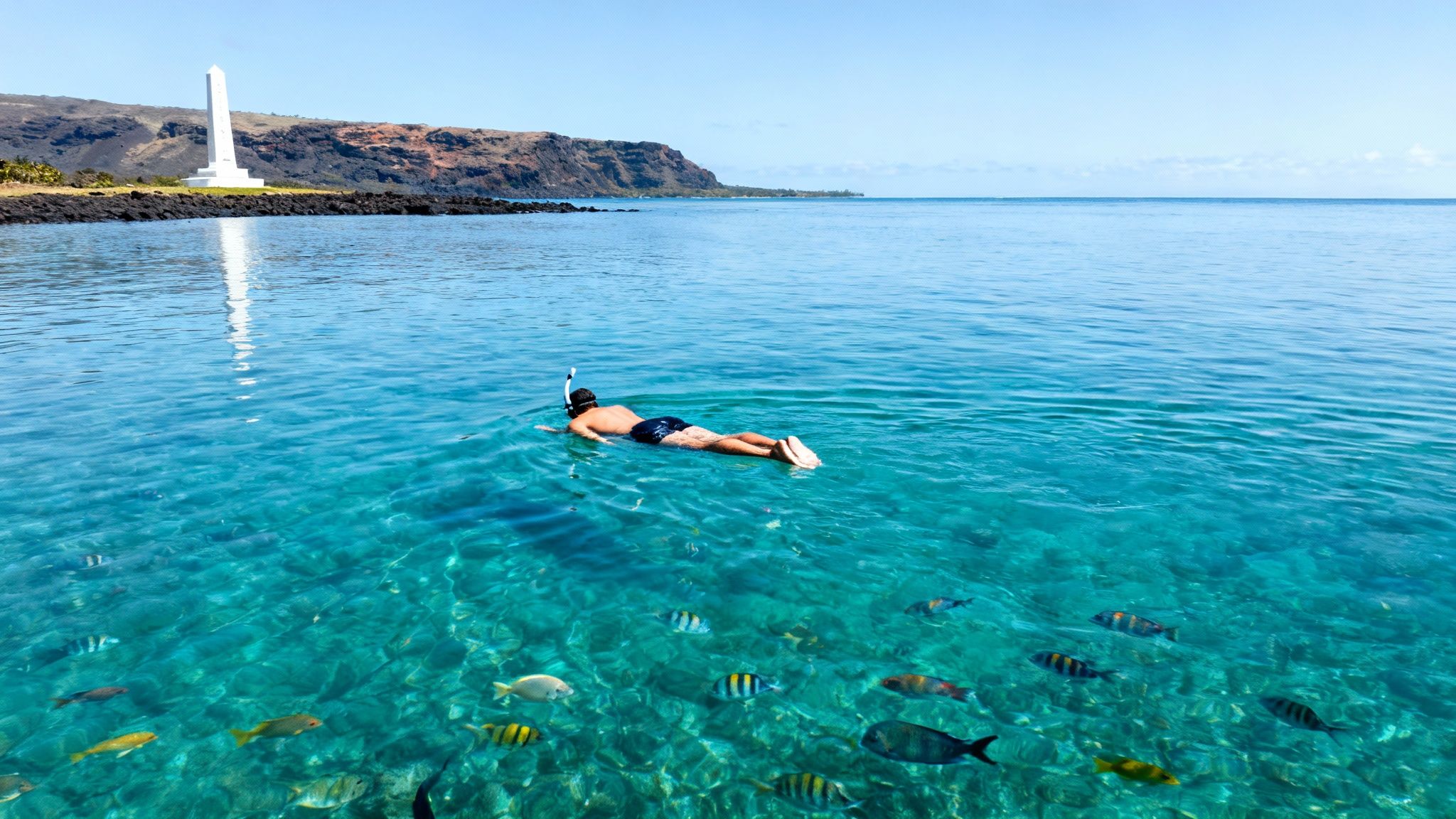Snorkeler exploring vibrant marine life in azure waters near the Captain Cook Monument.