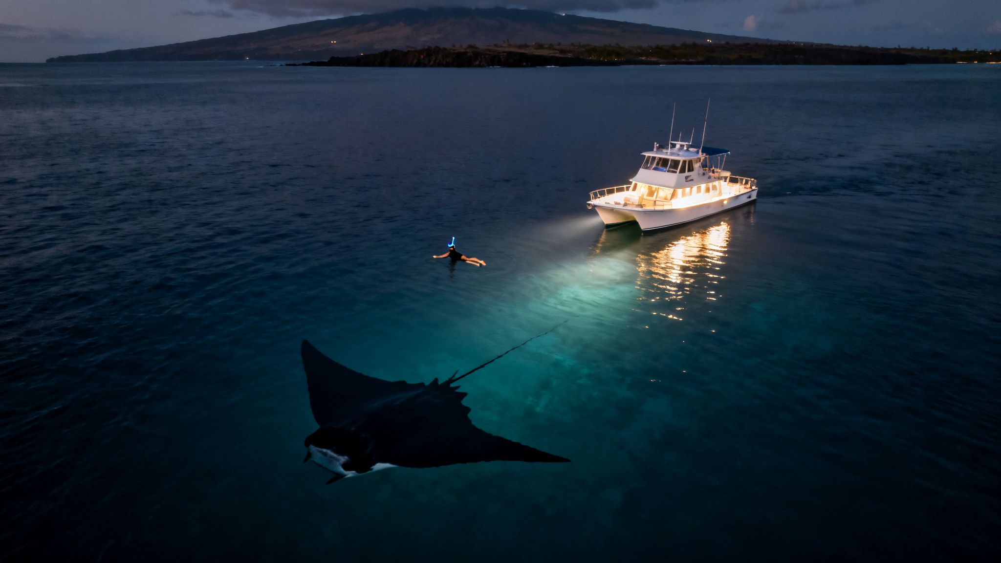 A snorkeler and a large manta ray swim at night, illuminated by a boat's lights.