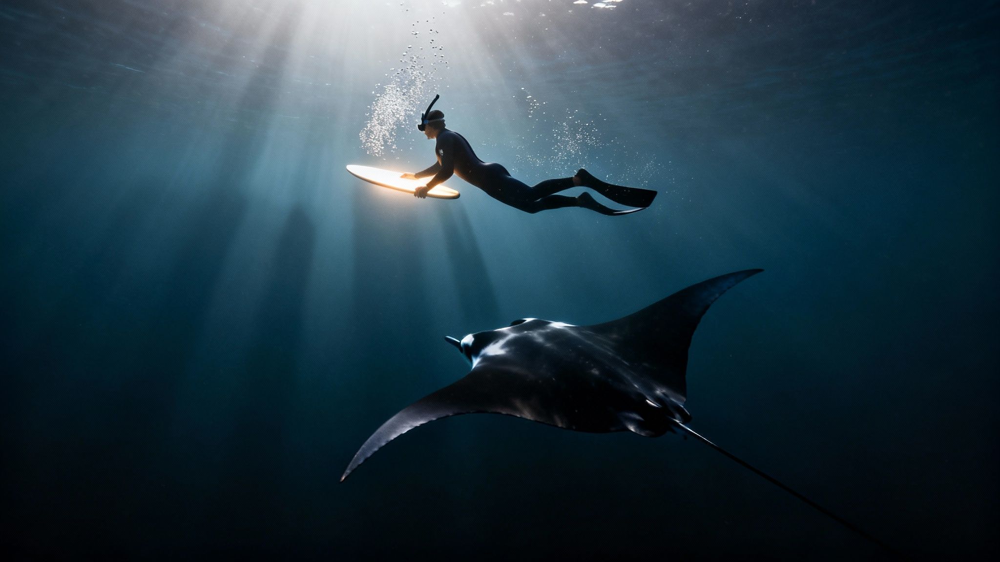 Big Island Manta Ray Snorkel - big island manta ray snorkel