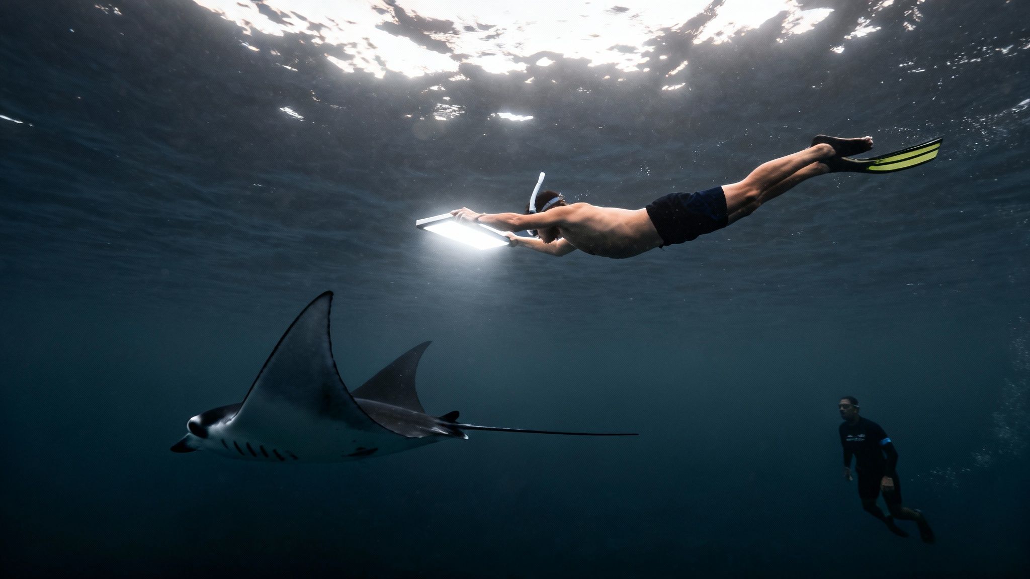 A diver with a light panel swims near a majestic manta ray and another diver underwater.