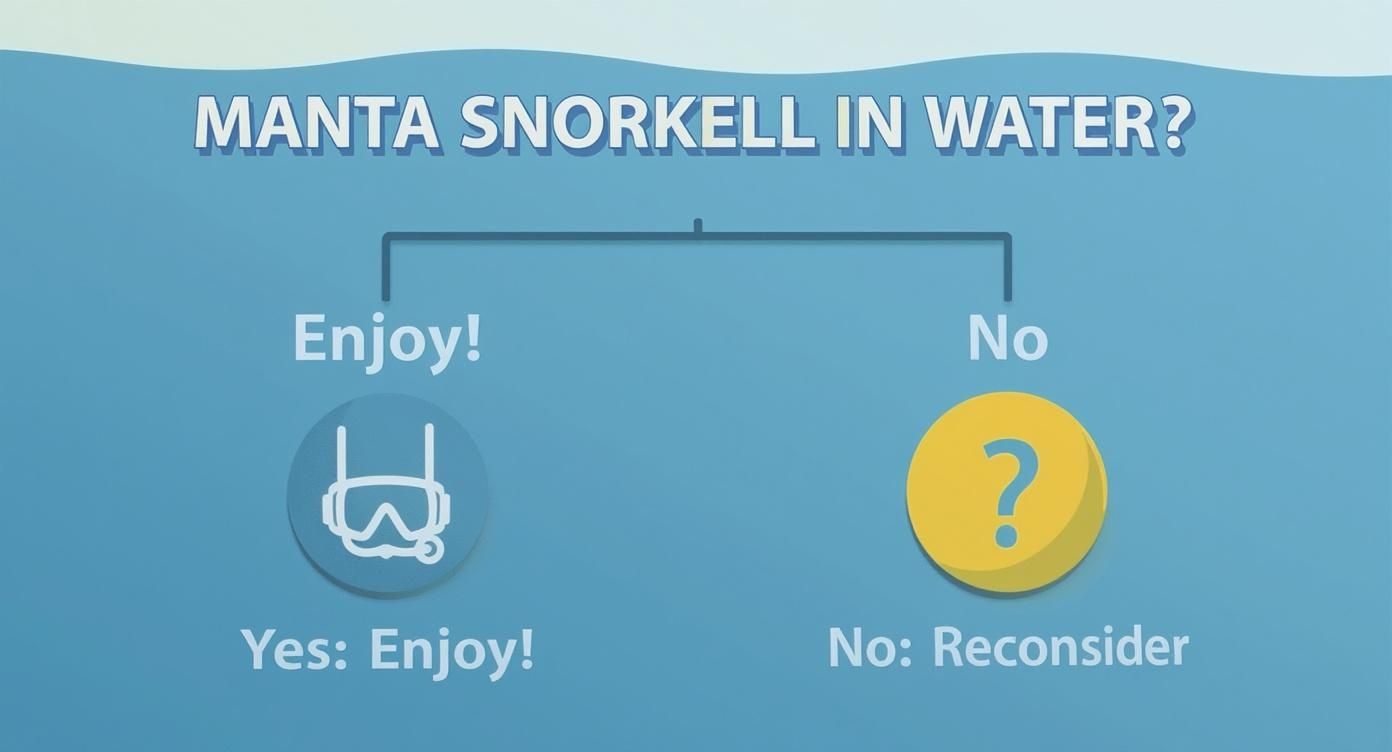Infographic about manta ray snorkel kona