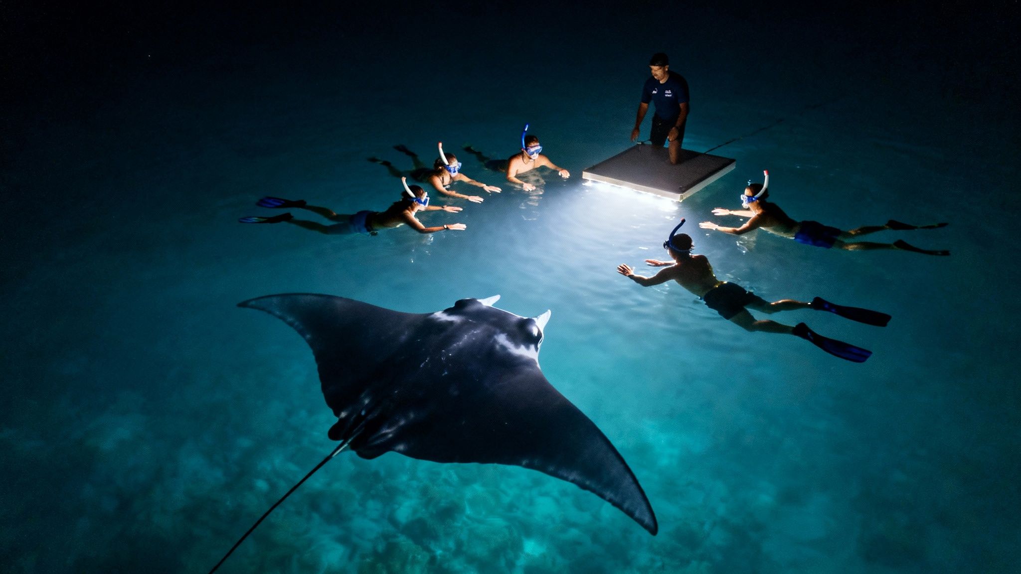 Group snorkeling at night with a large manta ray, illuminated by a floating light in clear blue water.
