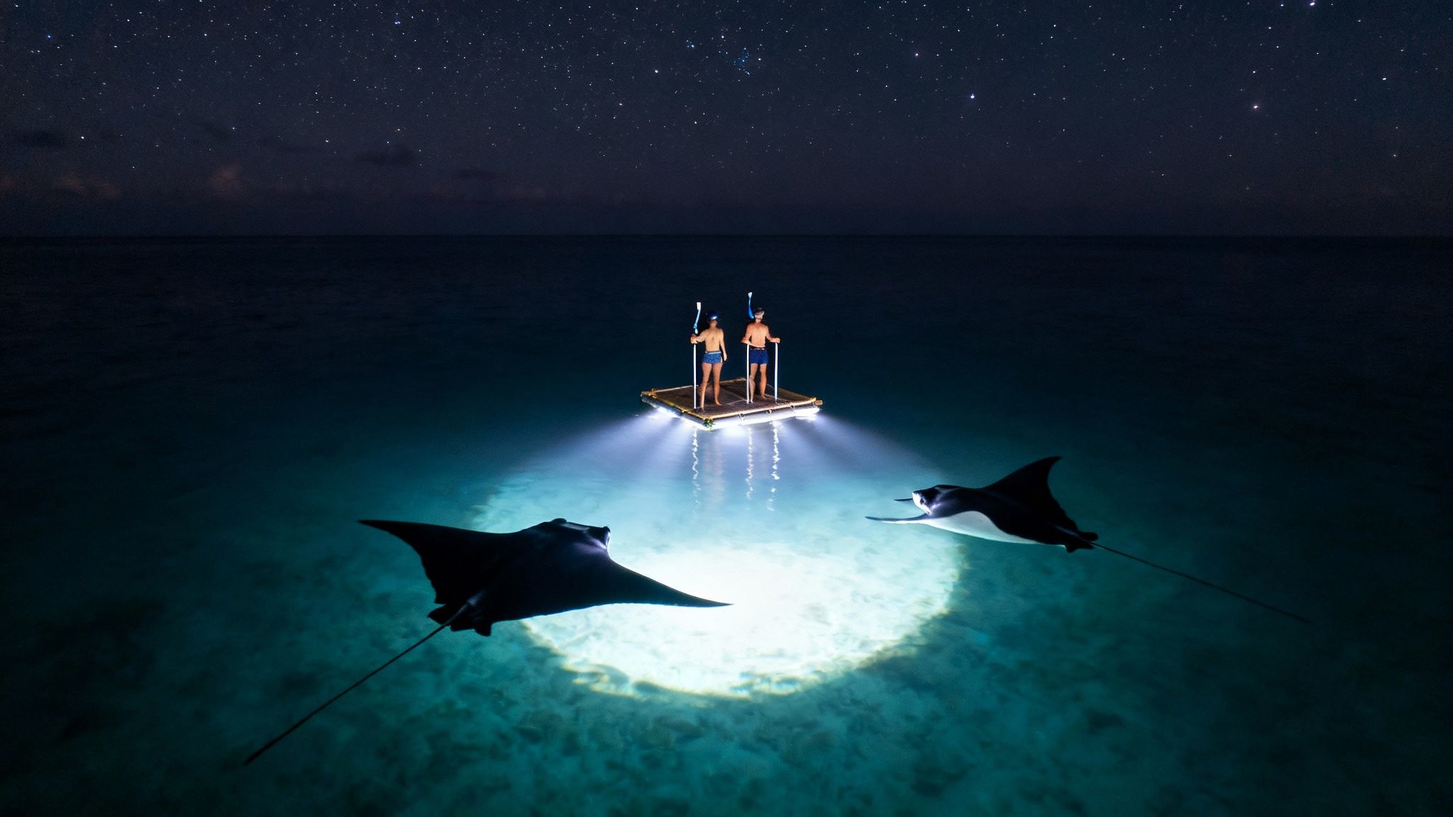 Two people on a glowing raft observe manta rays under a starry night sky.