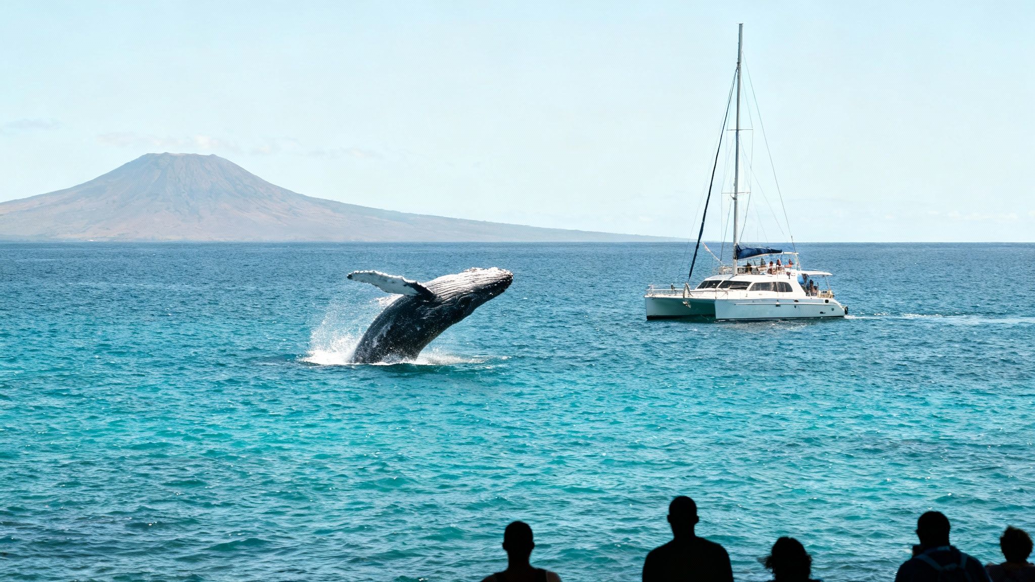 A humpback whale breaching dramatically out of the ocean water.