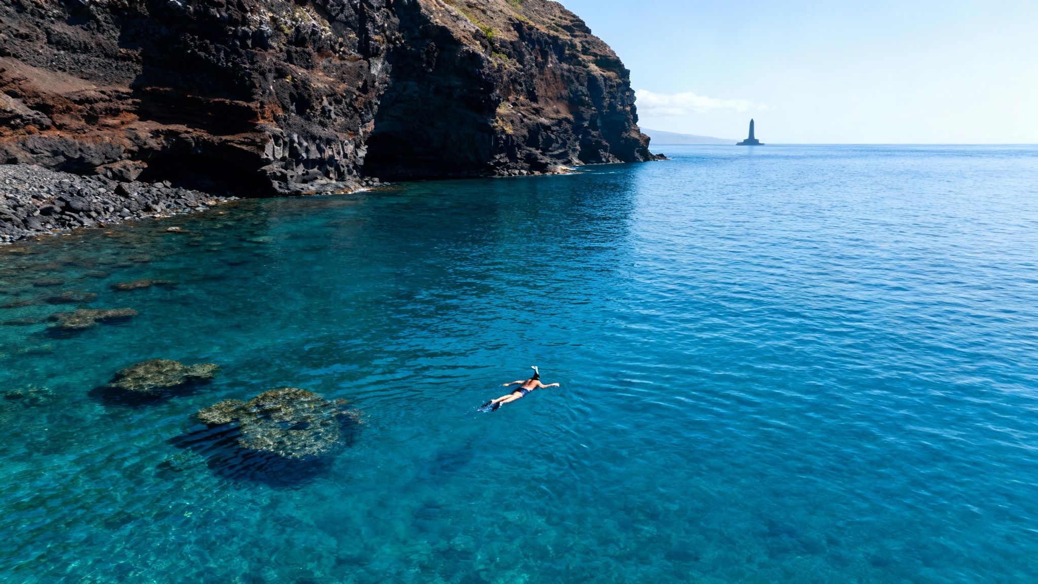 Colorful fish swimming over a coral reef in Kealakekua Bay during a Captain Cook snorkel tour.