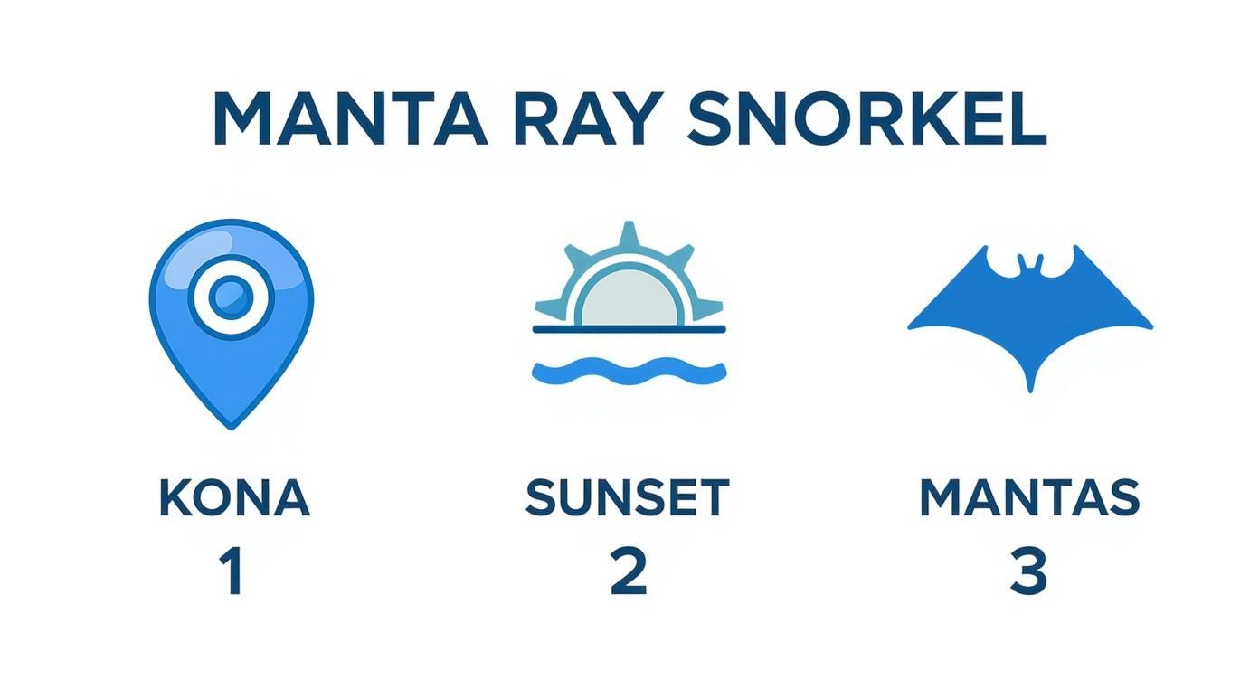 An infographic illustrating a manta ray snorkel experience with icons for Kona location, sunset time, and manta rays.