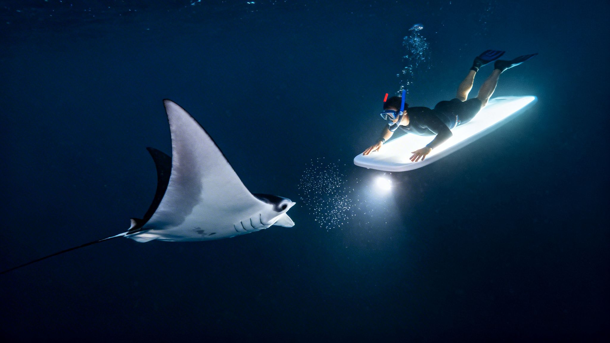 A person on a lighted snorkel board observing a majestic manta ray at night underwater.