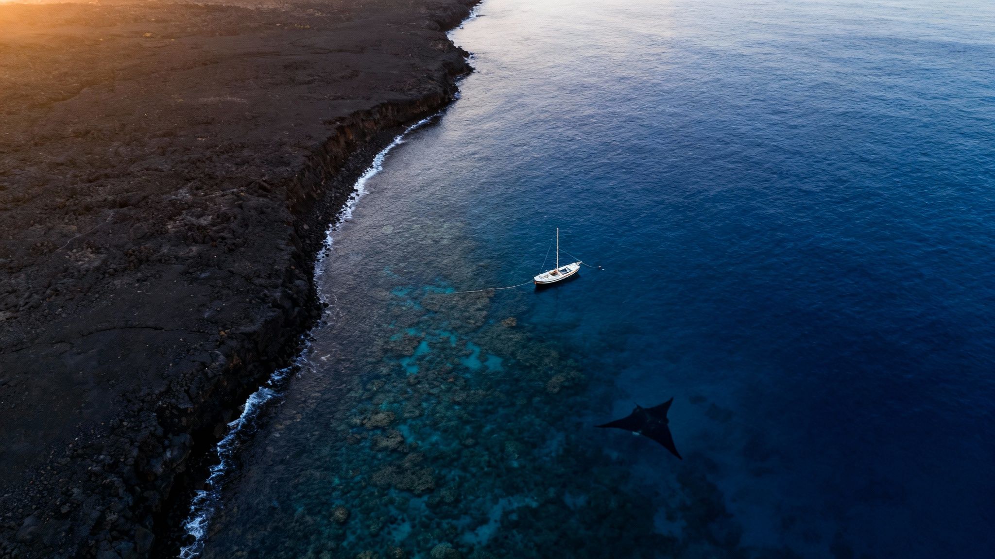 Aerial view of a white sailboat anchored near a dark volcanic coast with a large manta ray.
