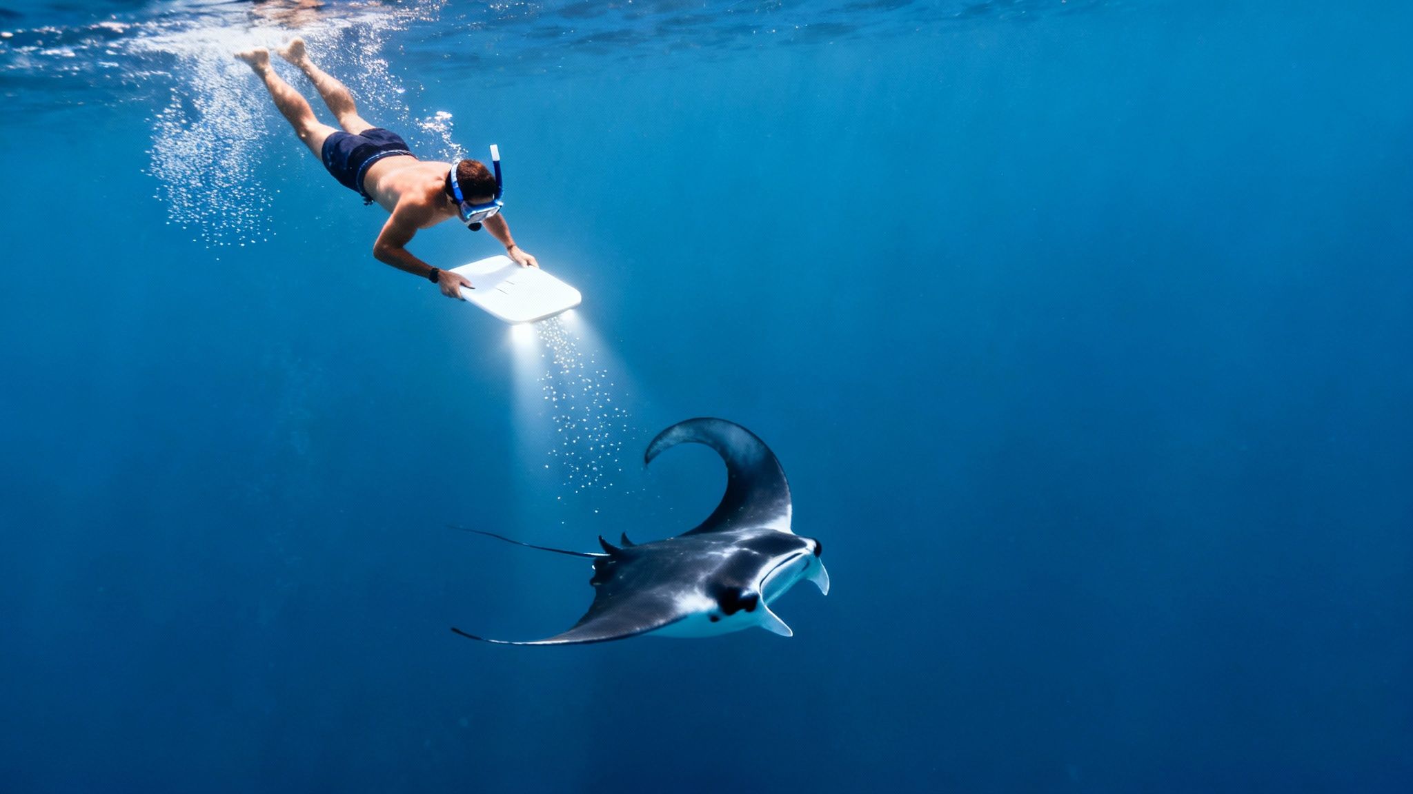 A snorkeler shines a light underwater, attracting a majestic manta ray in the blue ocean.