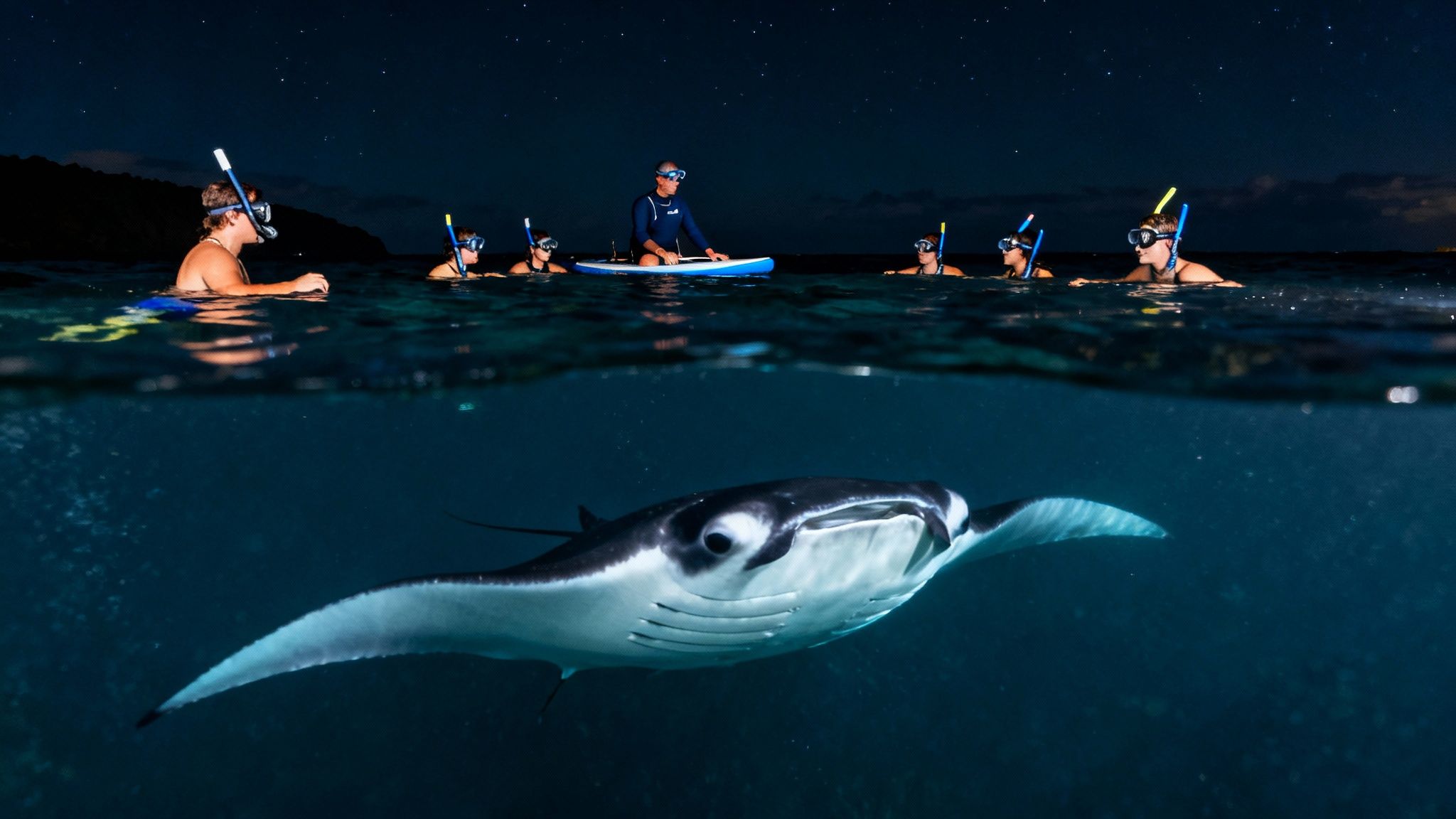 Manta ray swimming underwater at night while people snorkel under a starry sky.