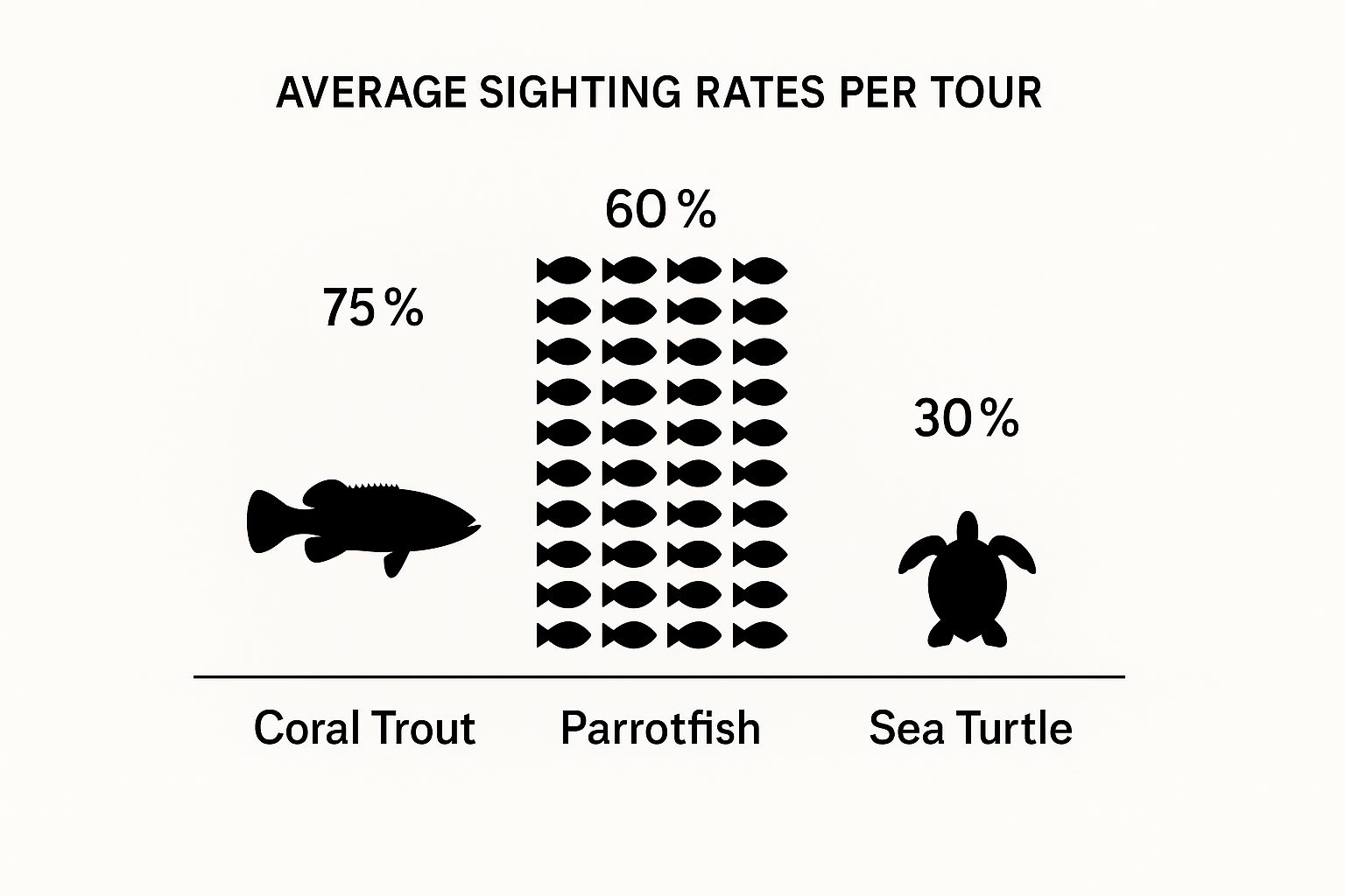 Infographic about captain cook snorkel tour