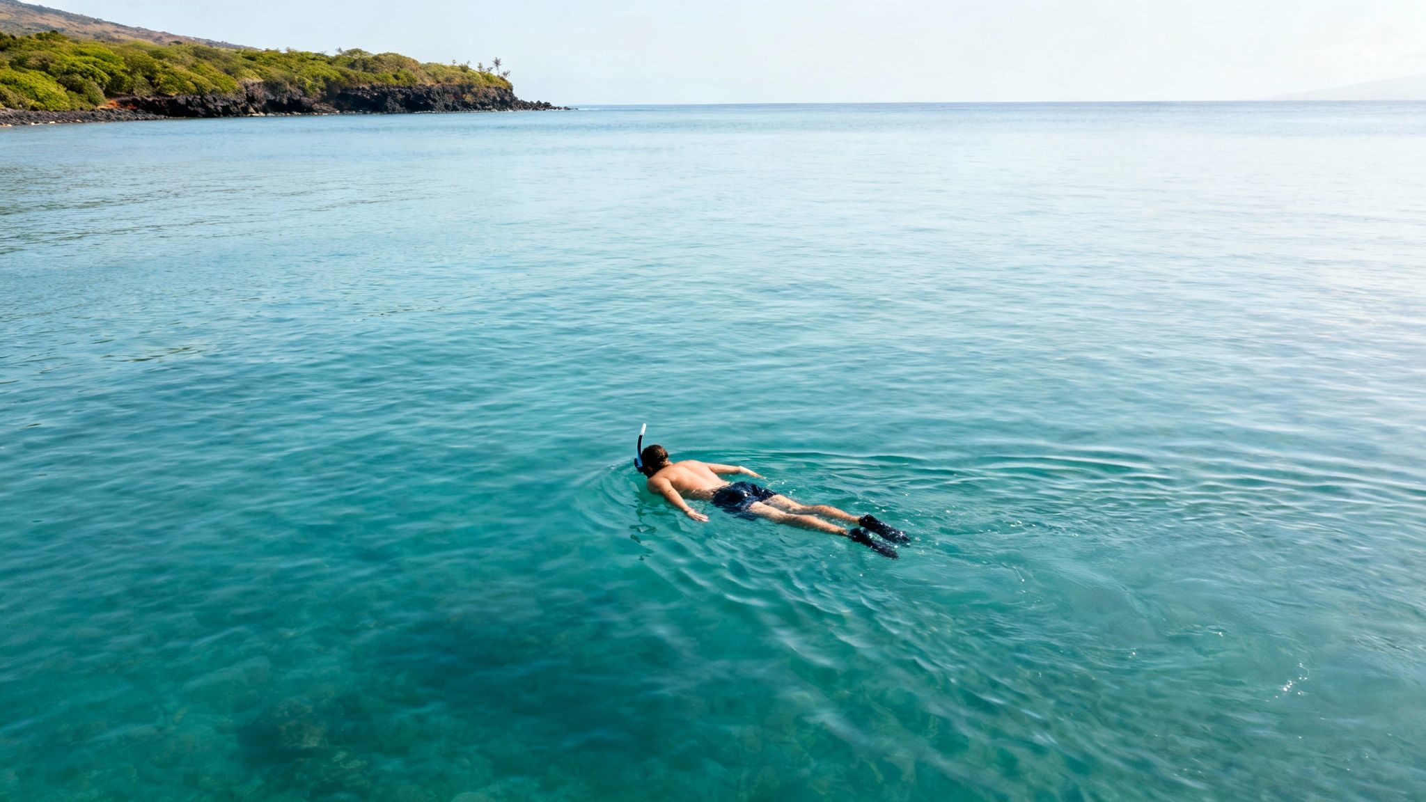 An aerial view of a person snorkeling in vibrant blue ocean water near a lush green coastline.