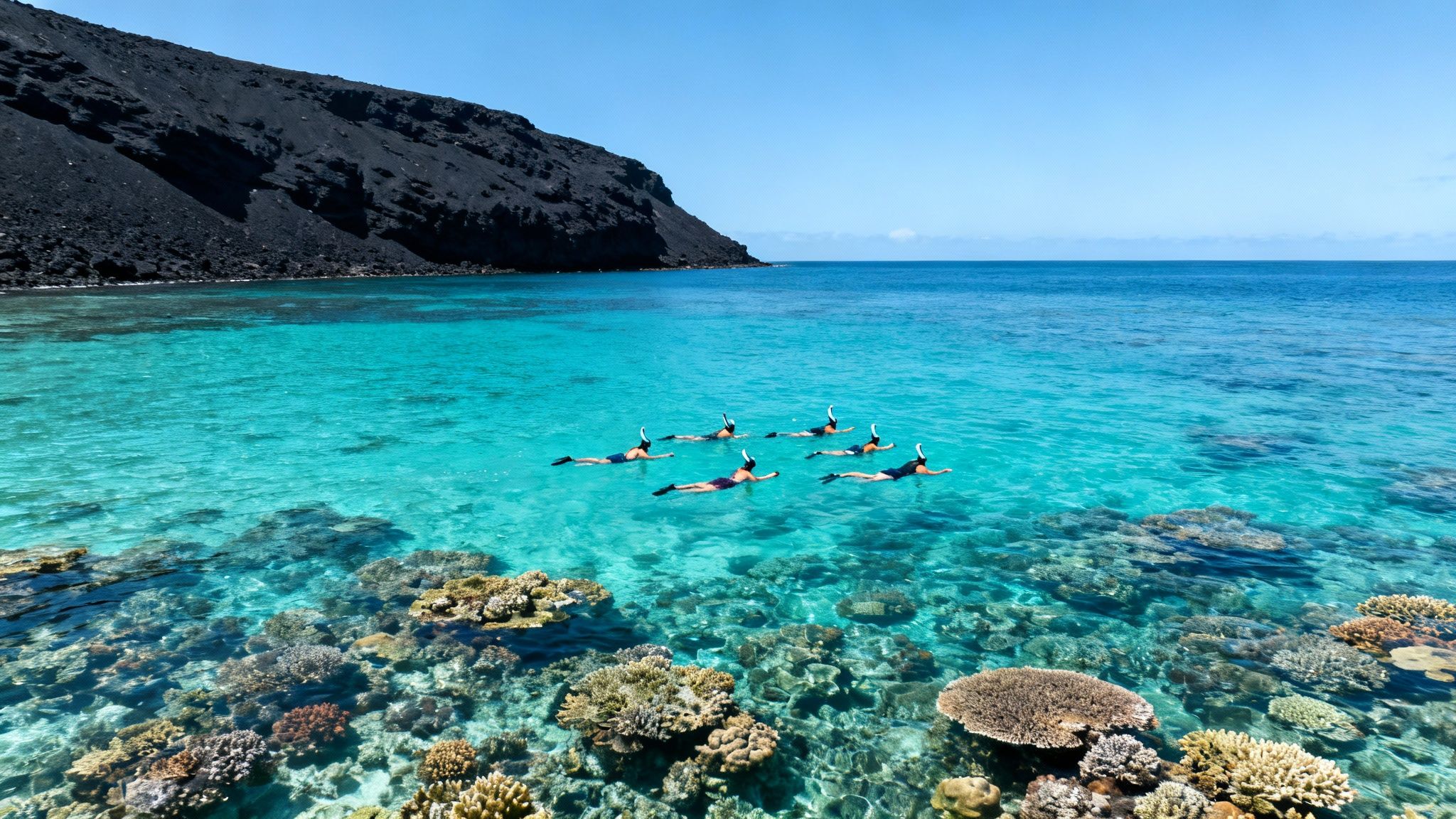 Six snorkelers explore a vibrant coral reef in clear turquoise waters next to a dark volcanic island under a blue sky.
