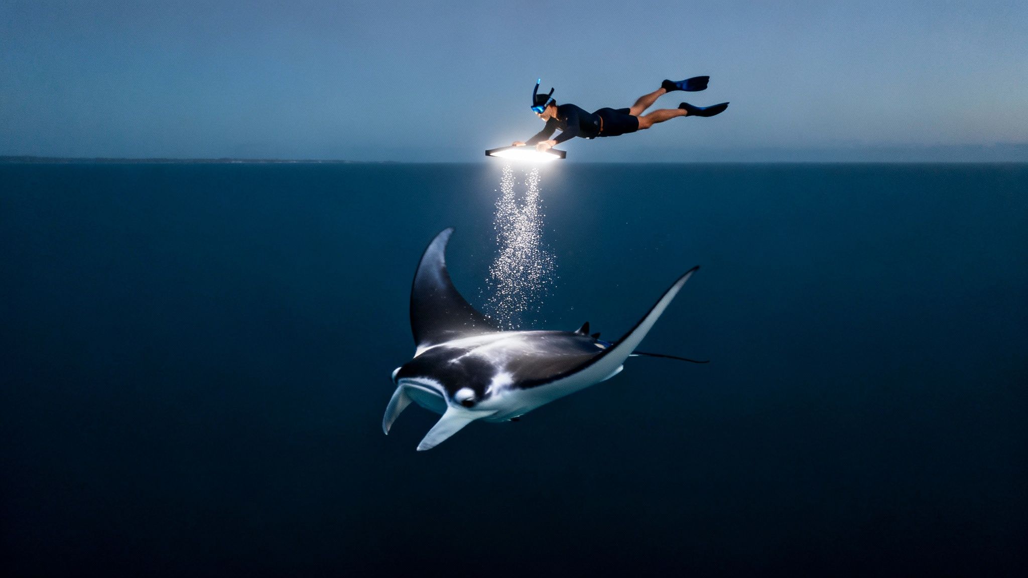 Snorkelers holding onto a light board as a massive manta ray swims just beneath them.