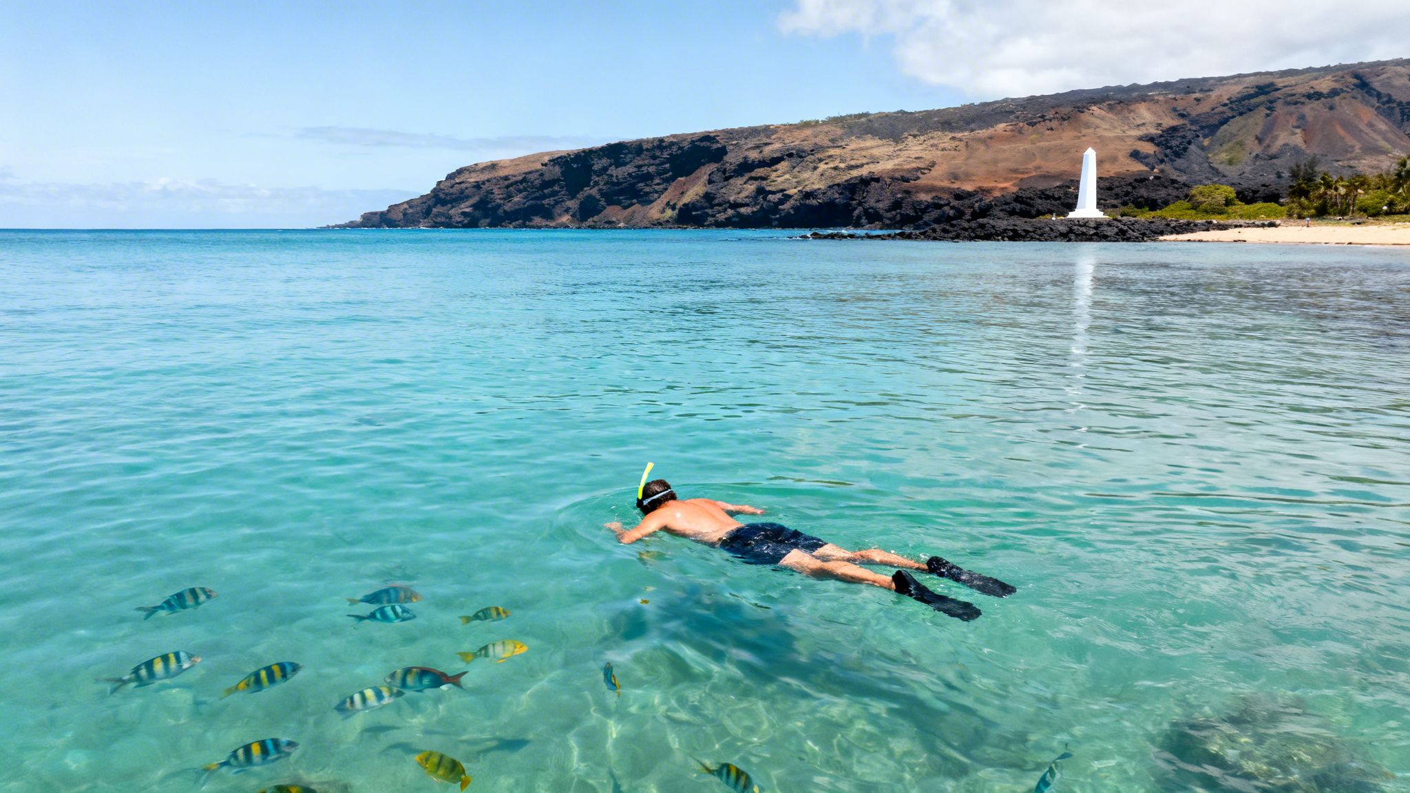 A man snorkels in clear tropical water with colorful fish near a volcanic coastline and white monument.