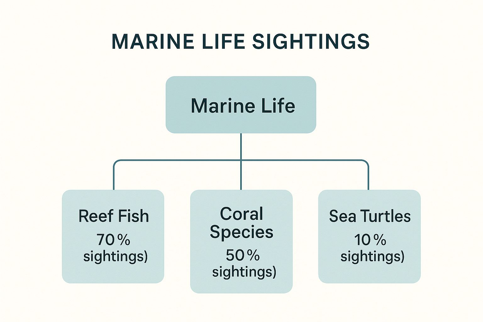 Infographic about captain cook snorkel tour