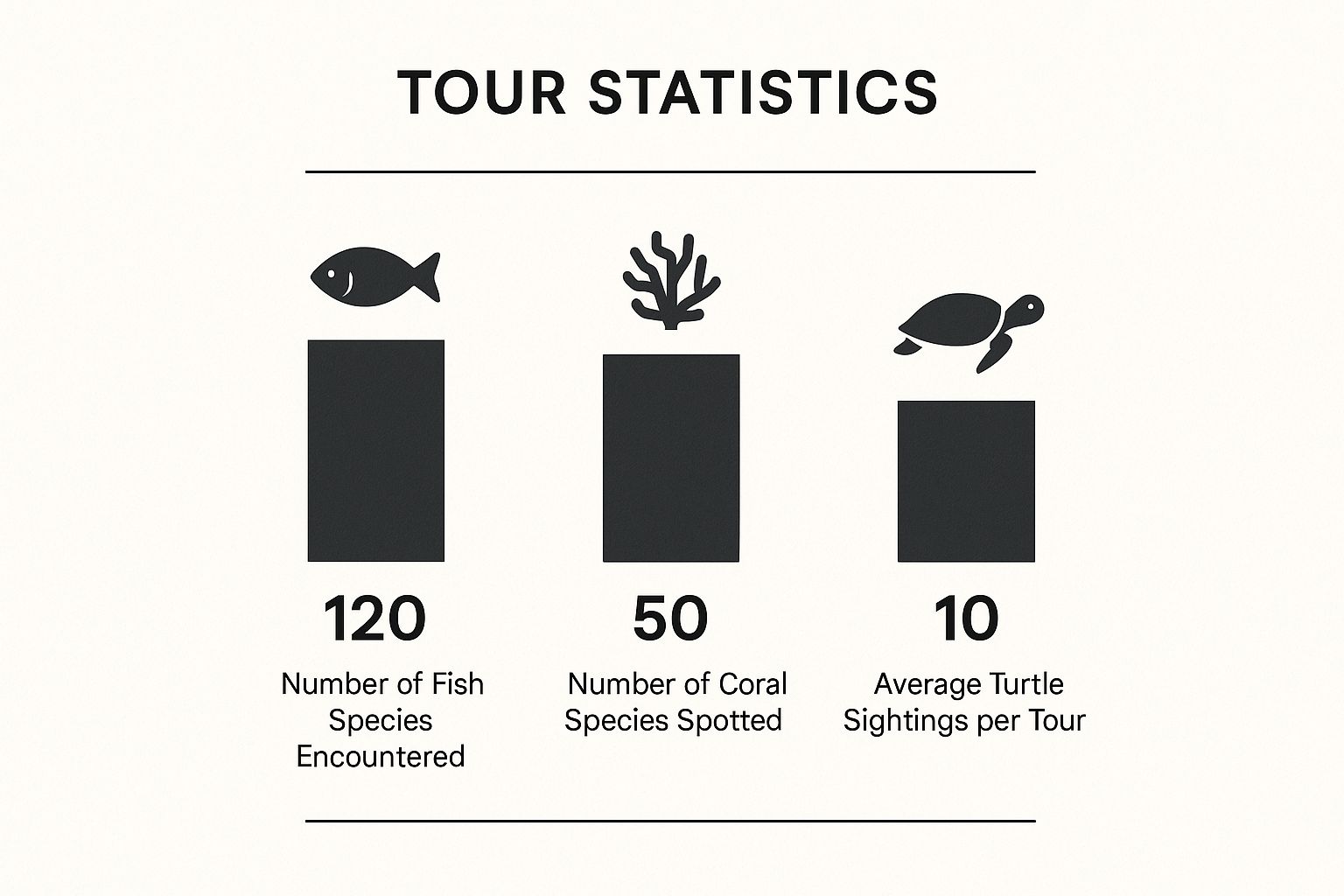 Infographic showing high numbers of fish species, coral species, and turtle sightings on a Captain Cook snorkel tour.